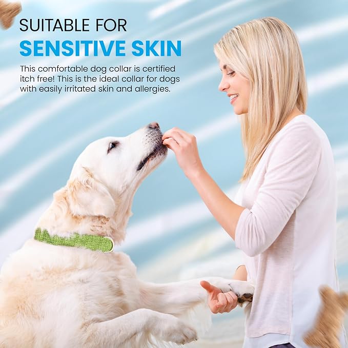 Hypoallergenic Dog Collar - Great for Sensitive Skin, Soft Collar for Dogs, Soft Organic & Earth Friendly (Small, Orange)