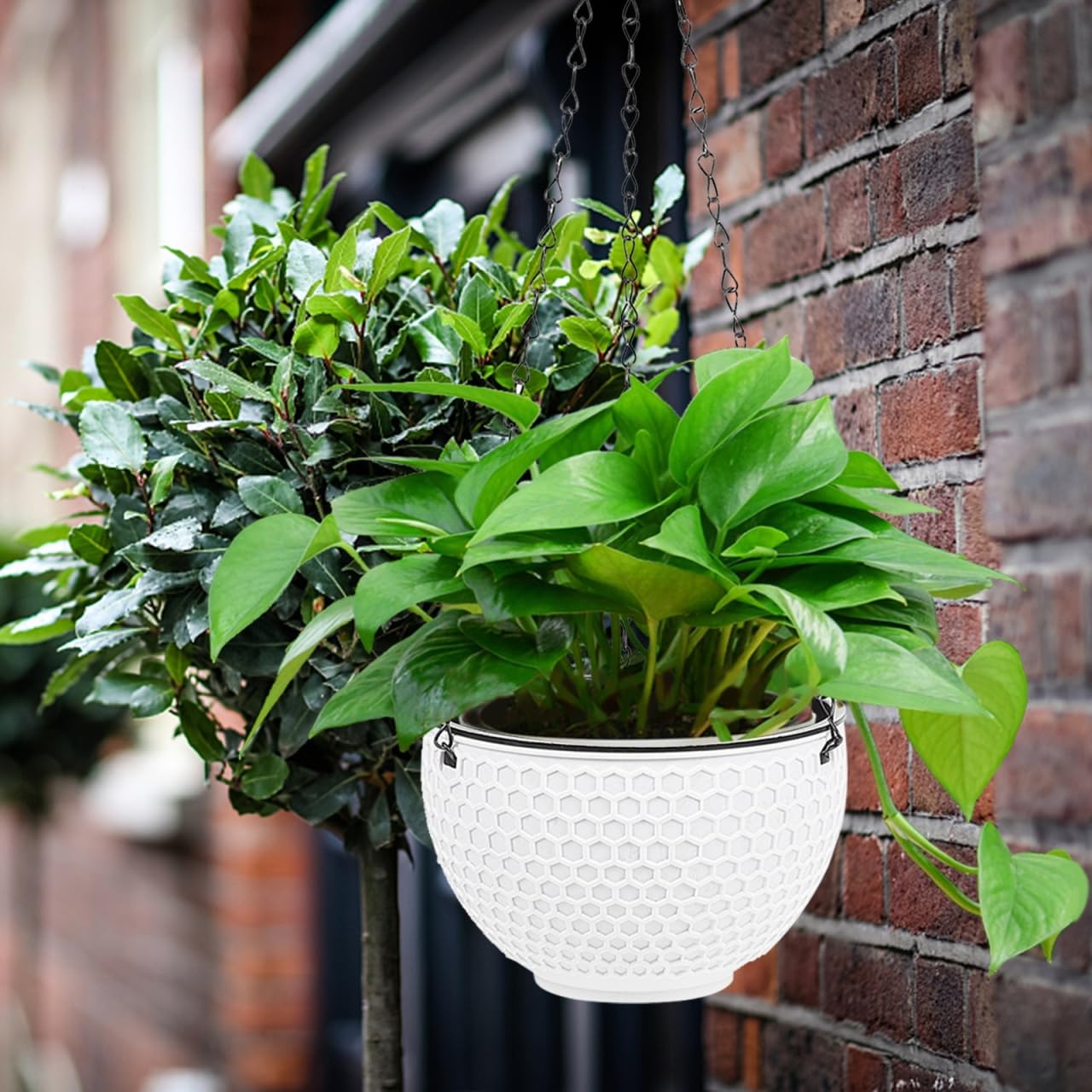 Hemoton 6.5 Inch Hanging Planter with Honeycomb Rattan Design Plastic Flower Pot for Indoor Outdoor Garden Balcony with Drainage Hole