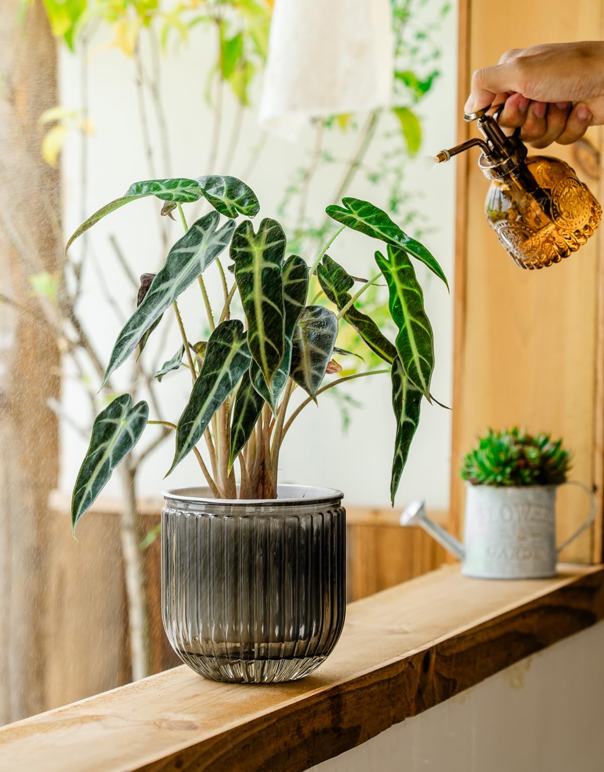 Melphoe Self Watering Pots for Indoor Plants Planter, 8.3/5.3 Inch 2 Pack Planters Self Watering Plant Pots for Flower, Houseplants, Succulent, African Violets and Cactus with Drainage