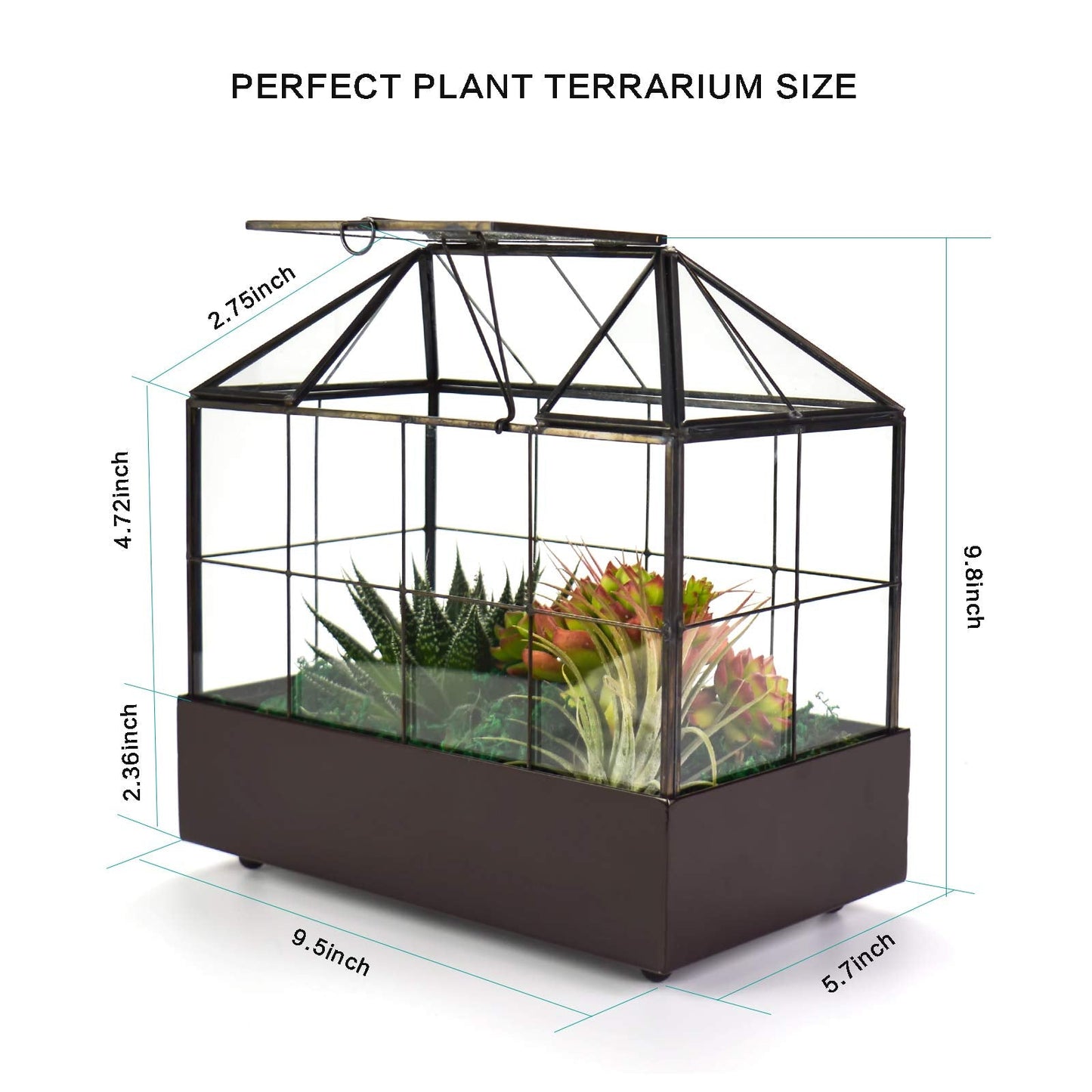 YIMORENCE V Large Tall Plant Terrarium Glass Greenhouse with Lid and Tray, Indoor Tabletop Orchid Succulent Cacti Kit 9.5'X9.8'X5.6'