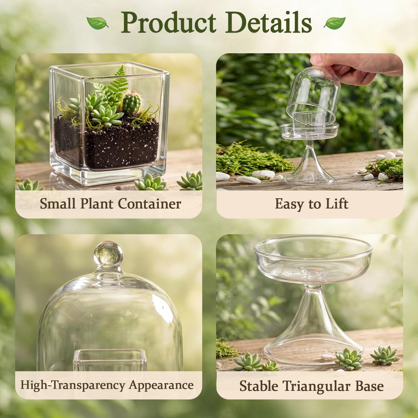 Gandeer 6 Pack Mini Glass Cloche with Base Bell Jar Dome & Acrylic Cube Planter 2.7 x 2.7 x 5'' Clear Glass Terrarium for Succulents Moss Cakes Miniature Dioramas Specimens Jewelry Rings Display