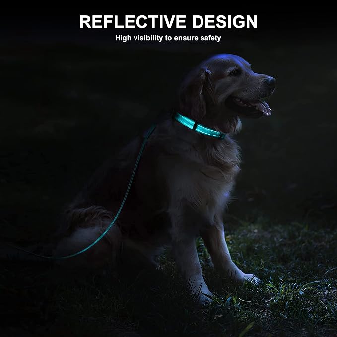 Soft Neoprene Padded Dog Collar and Leash Set for Small Medium Large Dogs, Reflective Durable Nylon Dog Collar with 5ft Leash Easy for Walking, Teal,Neck fit 12.5-19.5’’