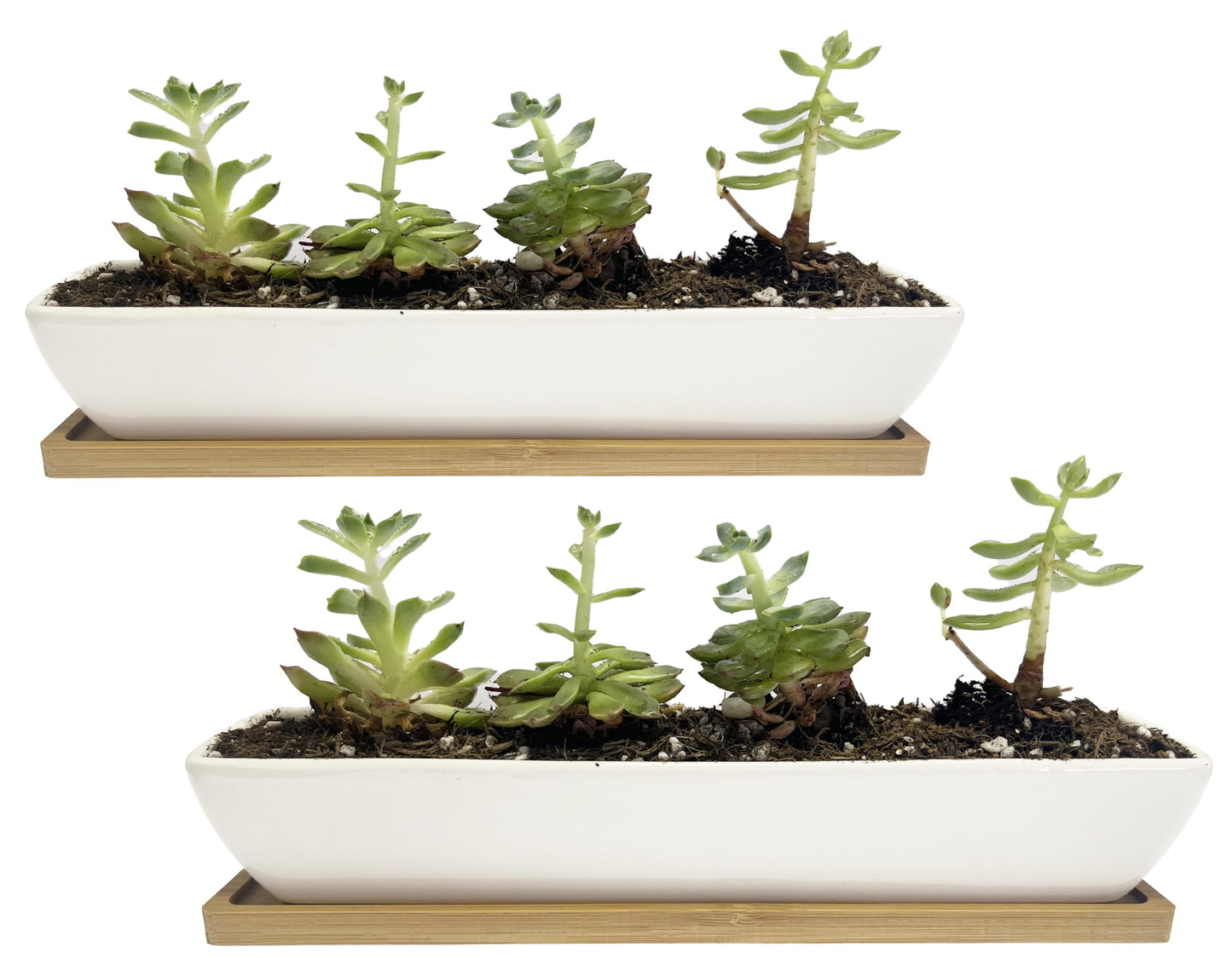 WISH HALLY WOOD White Ceramic Succulent Planter Pots,2 Set of 11inch Long Rectangle Flower Plant Containers with Bamboo Saucers.