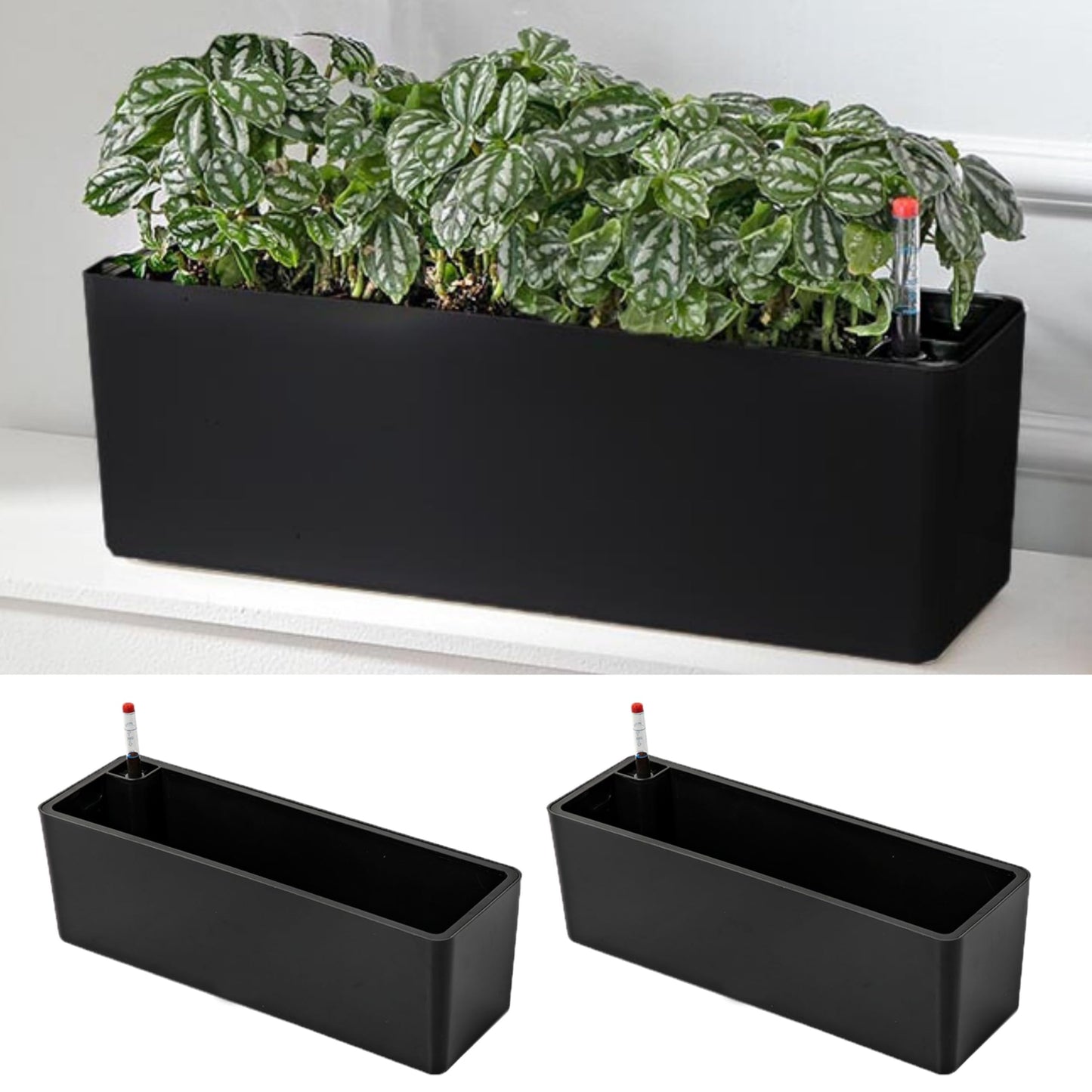 LaLaGreen Planter Box for Indoor Plants (16 Inch, 2 Pack) Black Rectangular Self Watering Flower Pot, Large Window Boxes Planters with Drainage Decorative Modern Balcony Windowsill Herbs Home Garden