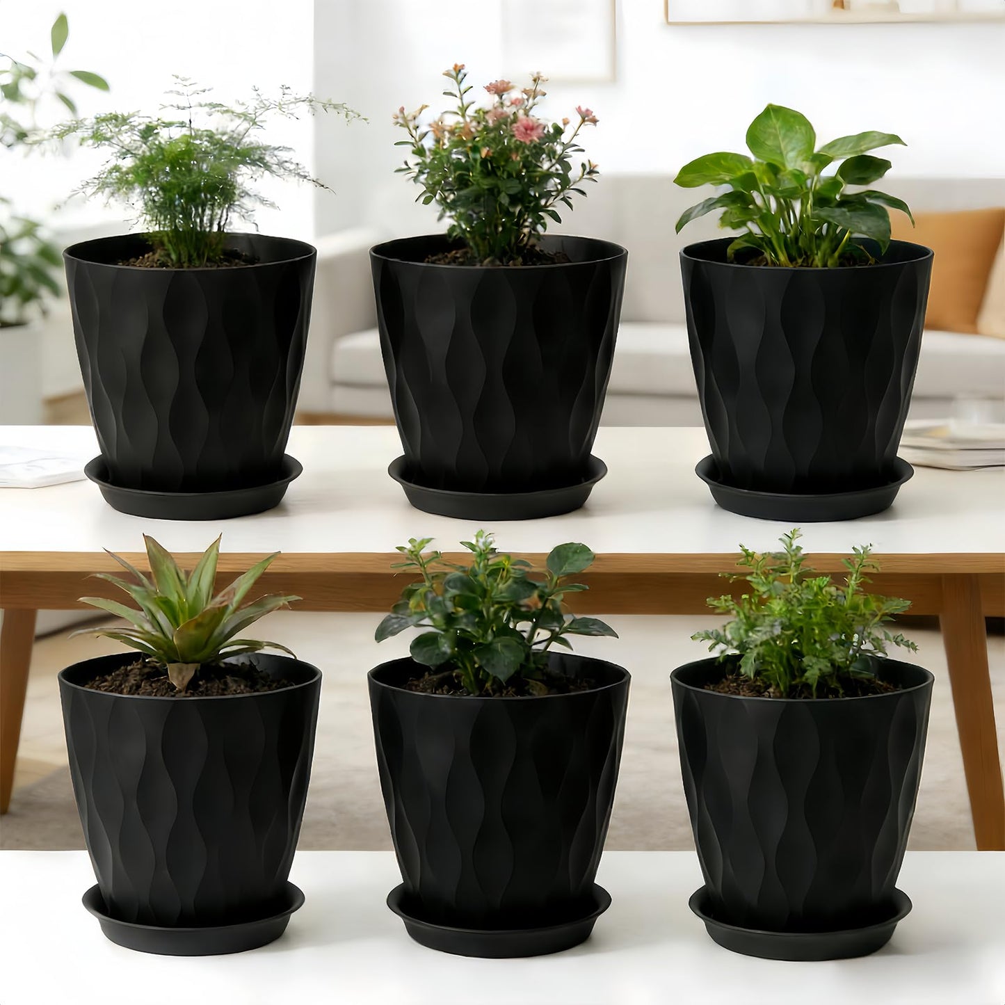 LESOASIS Plant Pots 8 Inch, 6 Pack Plastic Flower Pots for Indoor & Outdoor Plants, Planters with Drainage Holes and Saucer, Garden Pot for Plants(Black)