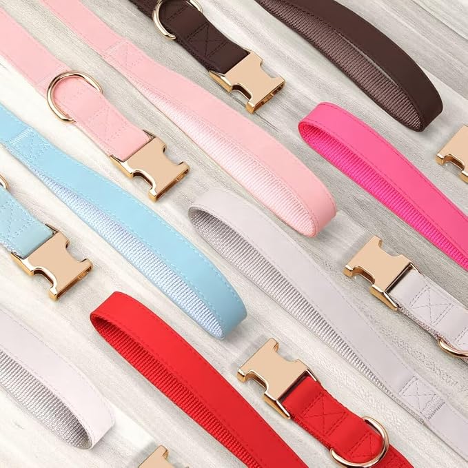 PET ARTIST Soft PU Leather Dog Collar and Leash Set, Bright & Stylish 5FT PU Leather Leash and Collar Set, Durable Pet Collars with Quick Release Metal Buckle for Medium Dogs,Red,M(13-19")