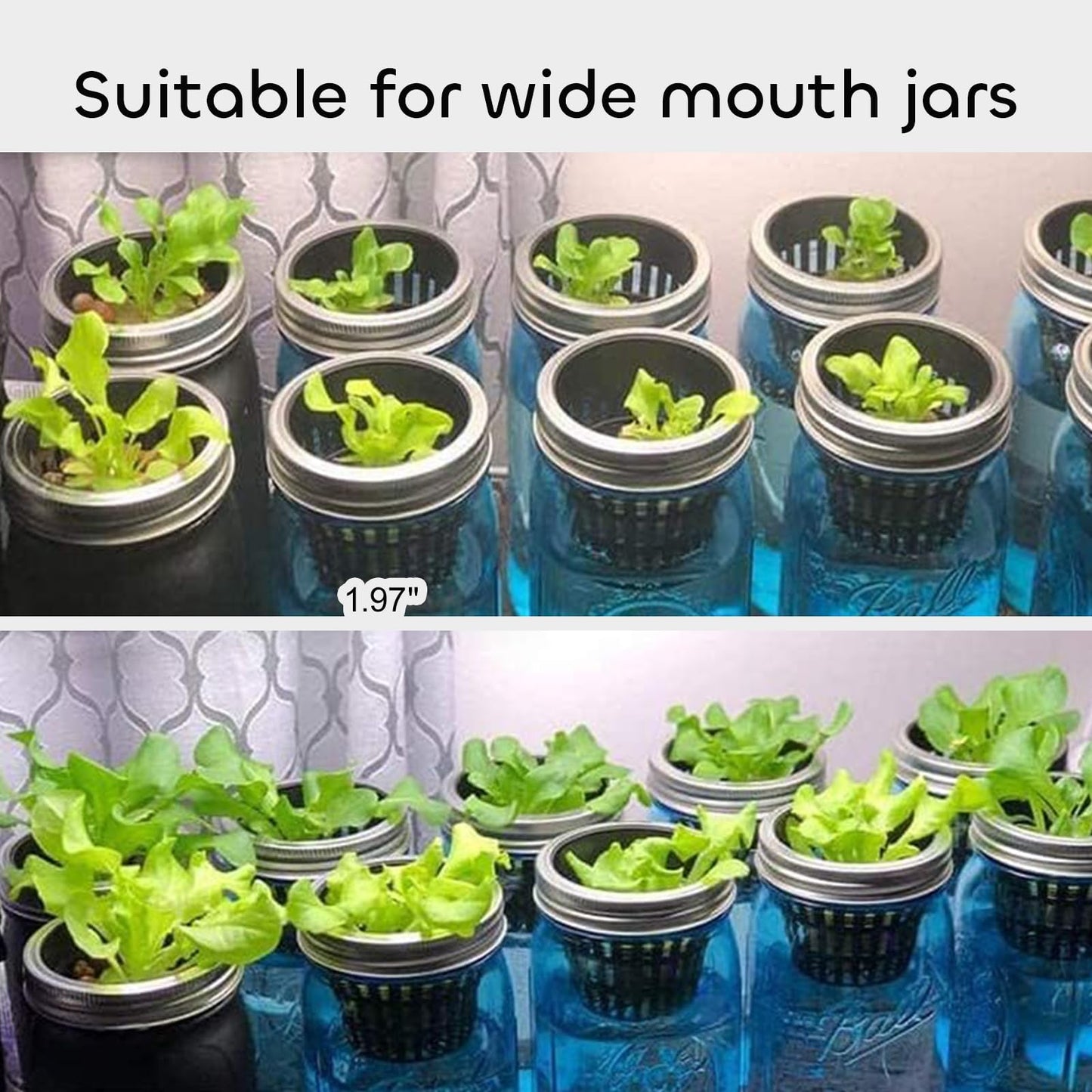 GROWNEER Net Pot for Hydroponics 100 Pcs 2 Inch Garden Slotted Mesh Net Cups, Heavy Duty Hydroponic Pots Supplies with 50Pcs Plant Labels, Planting Grow Basket for Indoor Outdoor Aquaponics Growing