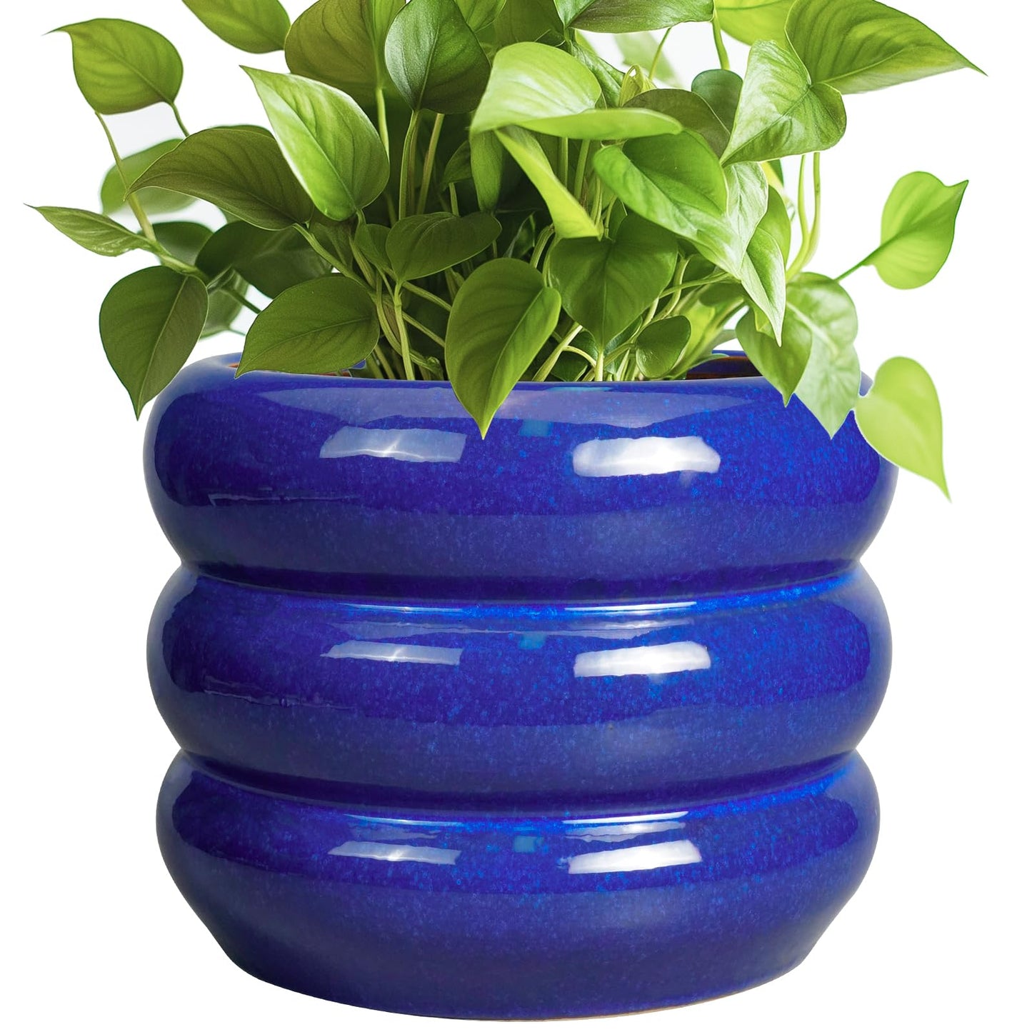 SQOWL 8 Inch Plant Pot - Ceramic Planter Indoor Plant Pot with Drainage Hole Outdoor Flower Pot Round Decorative Plant Pots for Kitchen Counter Desk Decor Blue