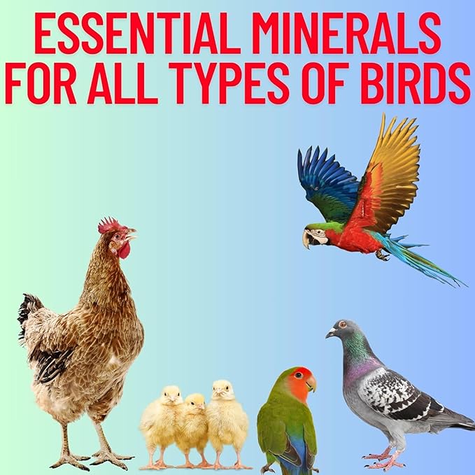 RedStones Grit Minerals, High Calcium Supplement, Designed to Promote Strong Bones, Better Digestion, and Overall Well-Being for Pigeons, Small Cage Birds, Duck and Chickens 3 Pounds Bag