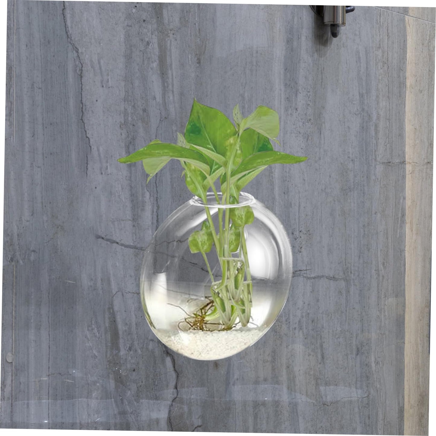 BIUDECO Wall Hanging Glass Terrarium Planter Stylish Hydroponic Flower Vase for Indoor Plants Transparent Design for Home Decor for Succulents and Plant Arrangements