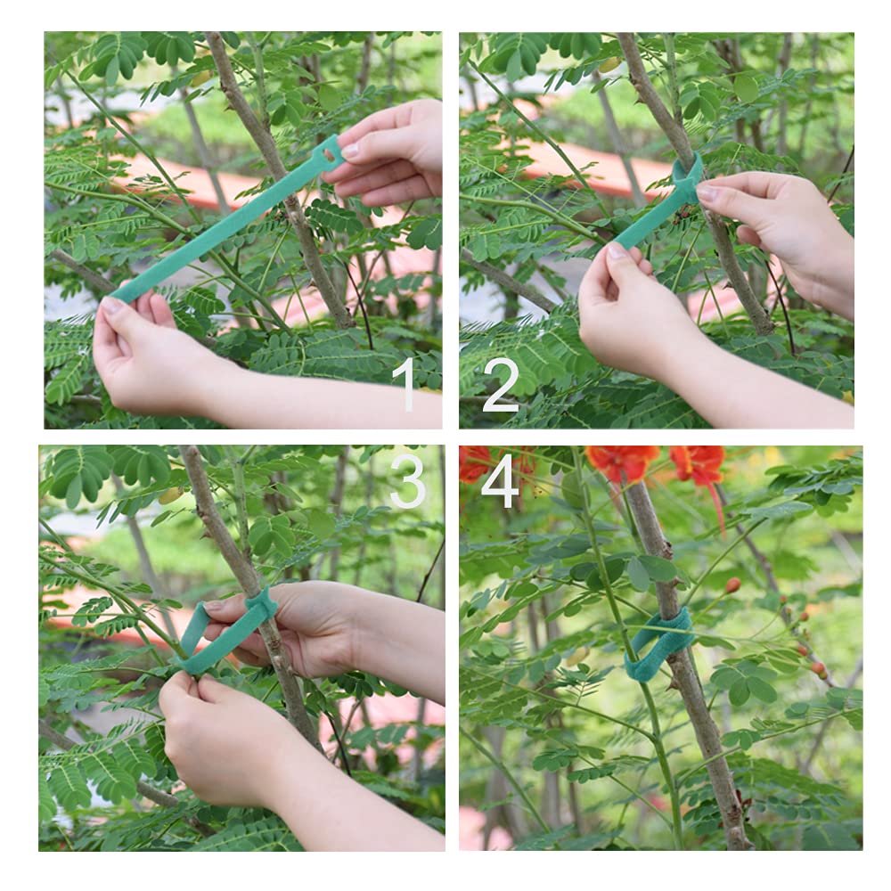 Garden Hook＆Loop Plant Cable Ties, 200 Pcs Adjustable Garden Nylon Ties for Supporting Plant and Vines, Multi-Functional Ties (200 Pcs, 8 Inch, Green)