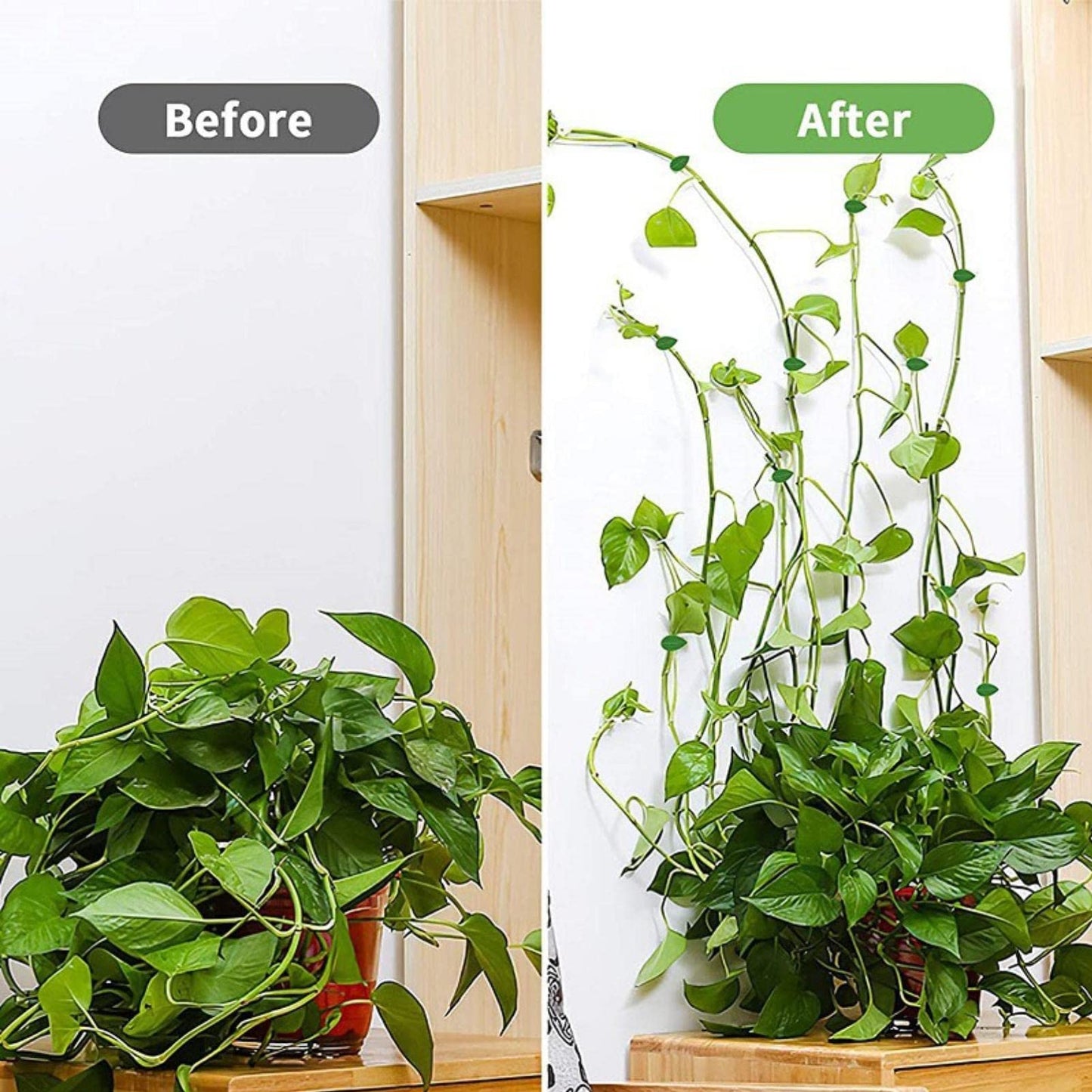 LeMall Plant Climbing Wall Fixture Clips, 100PCS Self-Adhesive Plant Hooks for Wall Vines Fixing Clips Green Leaf Plant Clip Garden Wall Clip Plant Clip Green Leaf Simulation for Garden Wall Clip