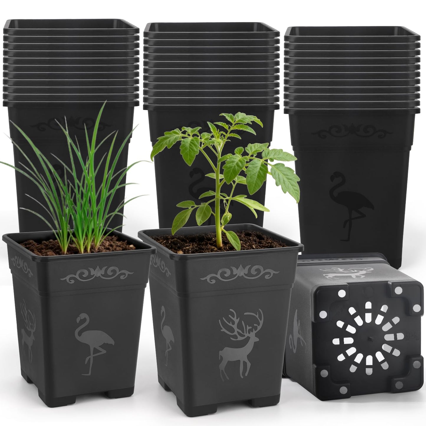 puobao 36 Pack 5.5 Inch Square Nursery Pots, Plastic Flower Pots with Drainage, Plant Pots for Plants, Reusable Planting Pots Planter for Seedlings, Transplanting & Indoor Use