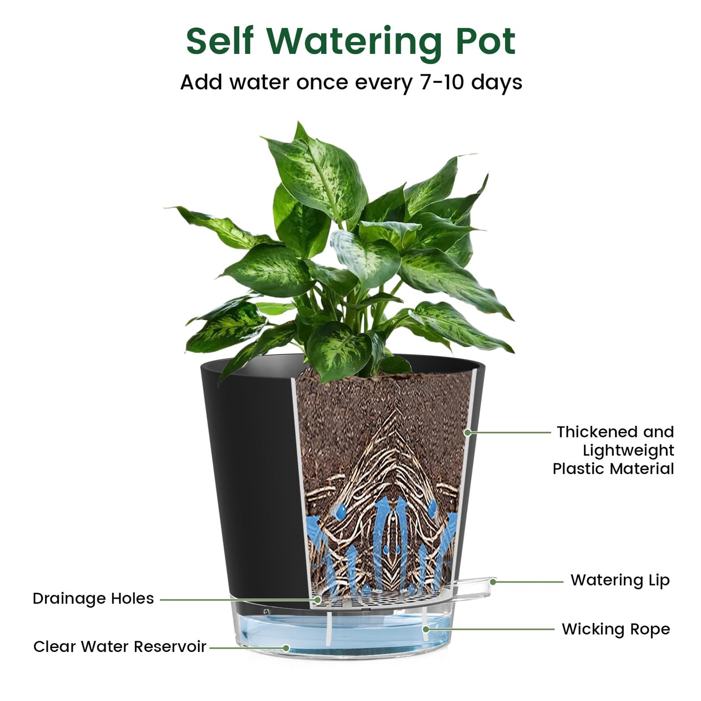 Meowell 6 inch Self Watering Pots for Indoor Outdoor Plants, 6 Pack Flower Plant Pots with Drainage Holes and Clear Reservoirs, Visible Water Level, Plastic Planters with Wicking Rope, Black
