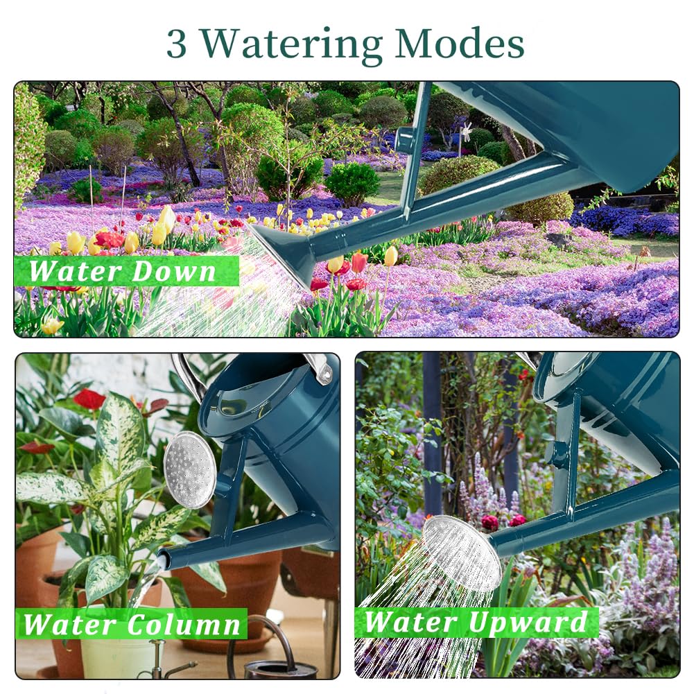 1 Gallon Metal Watering Can with Removable Spout, Nice Galvanized Steel Water Can for Indoor and Outdoor Plants (Ocean Blue)