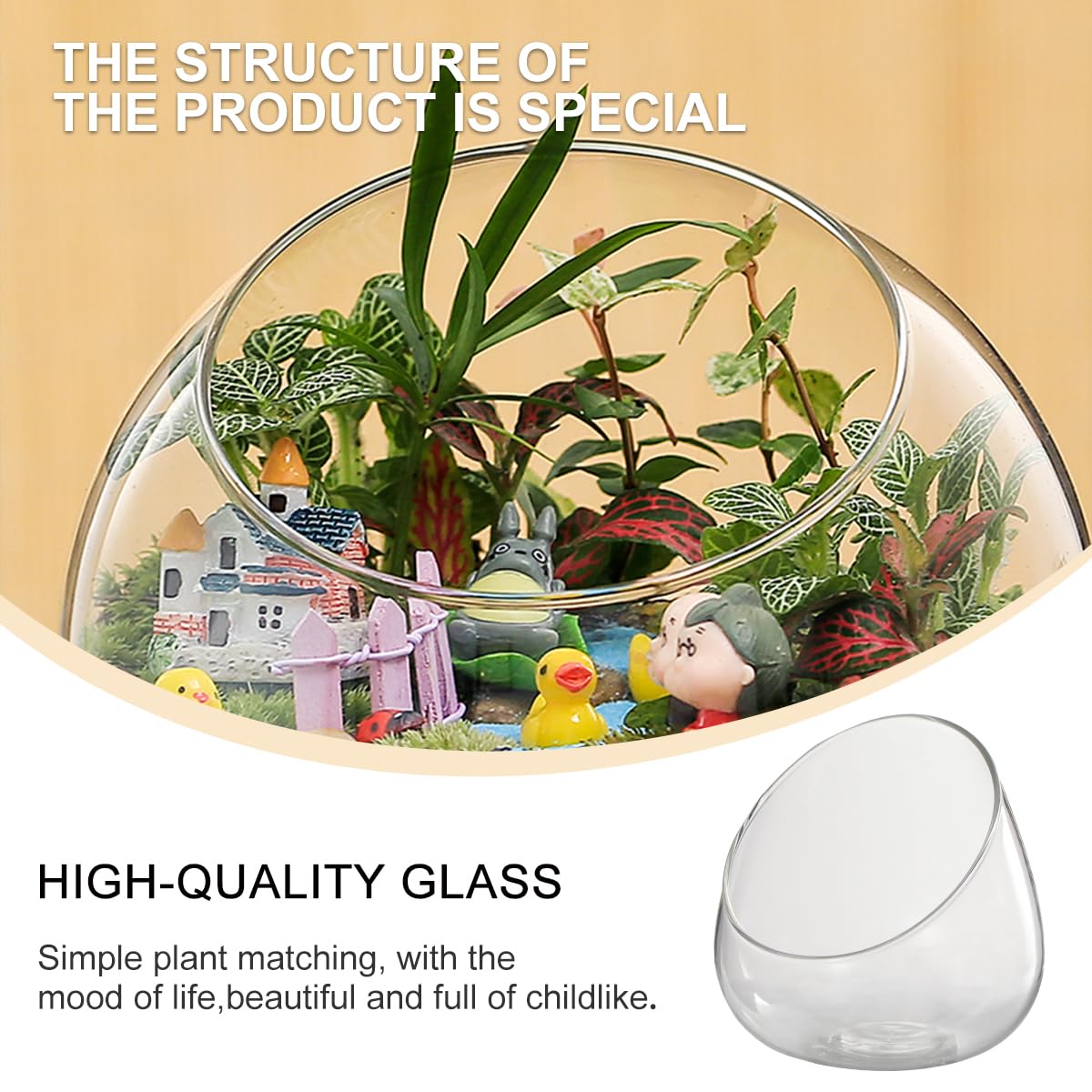 HOMSFOU Slant Cut Glass Terrarium Bowl 4.72 Inch Clear Micro Landscape Container for Succulent and Air Plants Home Office Wedding Decor