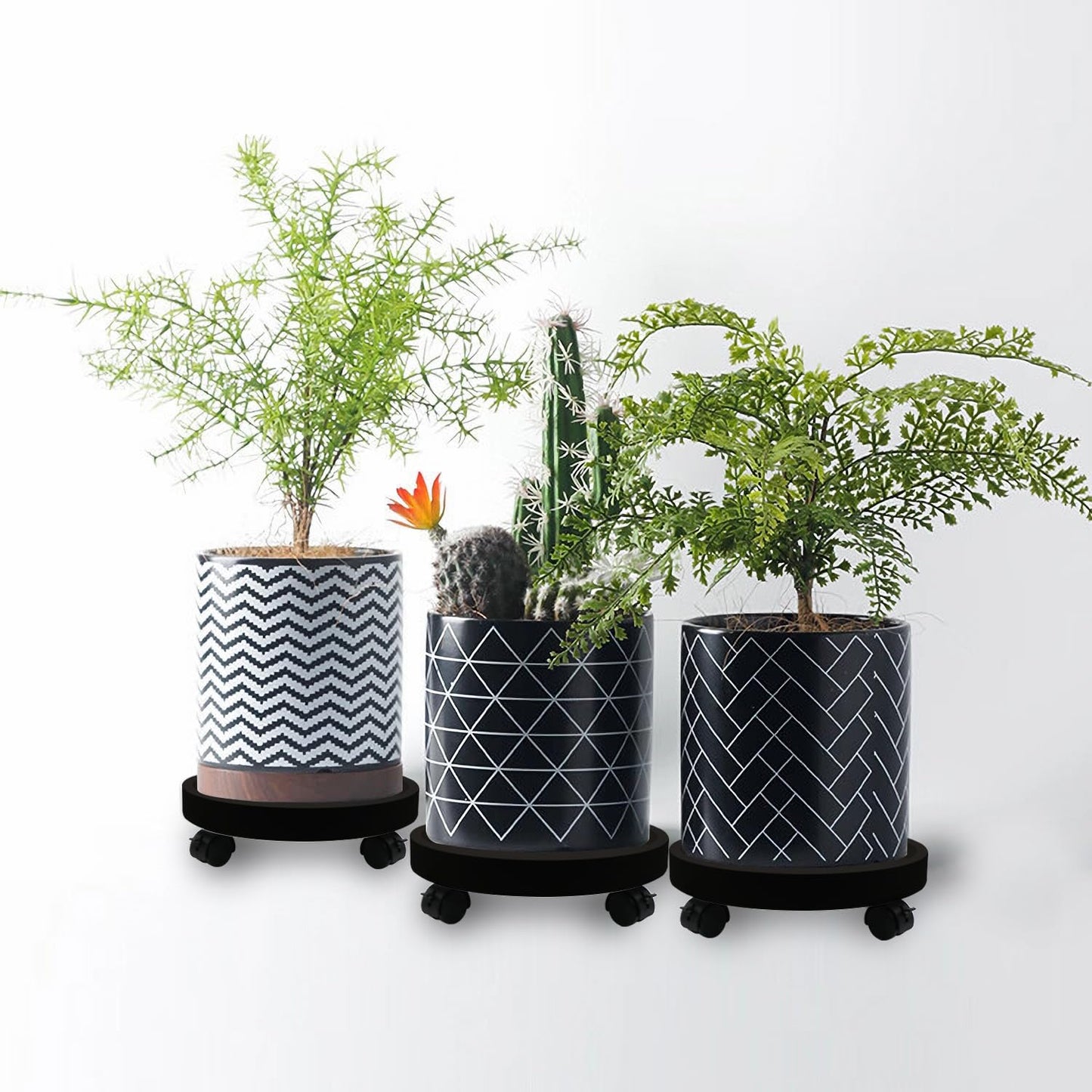 RUENXG 2-Pack 13" Heavy Duty Plant Caddy with Lockable Wheels, Industrial-Grade Rolling Plant Stand for Indoor/Outdoor Potted Plants, Flower Pots & Garden Decor - Black