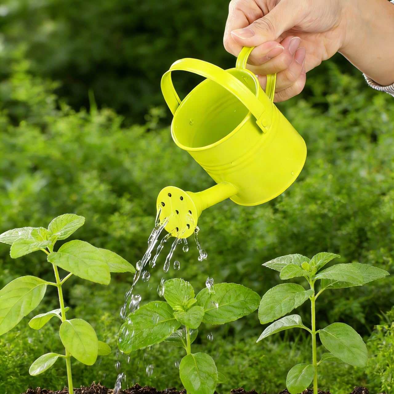 NUOBESTY 5Pcs Mini Kids Watering Can Set, Metal Cans Toddlers Small Long Spout Watering Can for Garden Play, Indoor Balcony Plants, Patio Flowers, Little Hands (Random Colors)