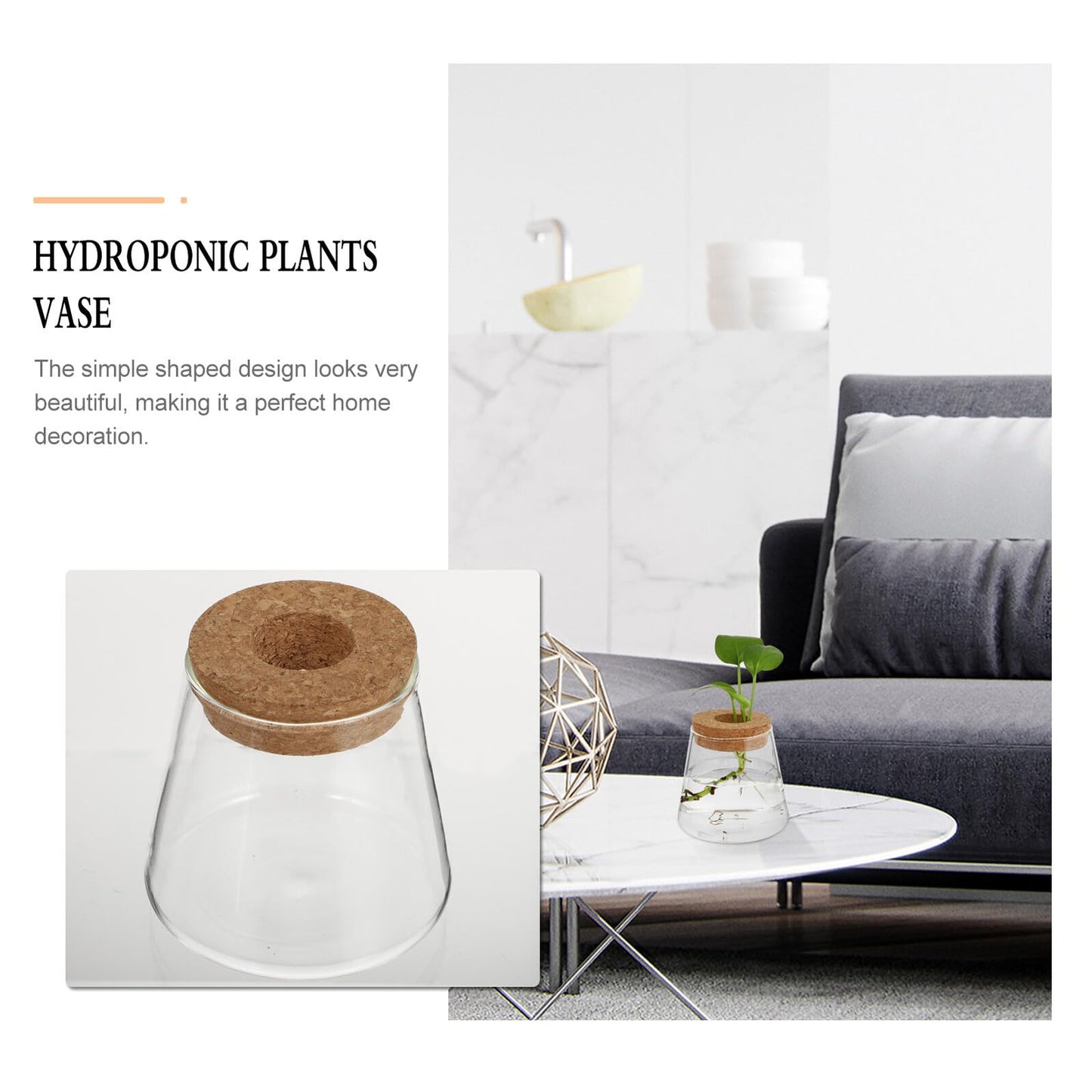 Balacoo 2pcs Hydroponic Glass Planter Vase Desktop Terrarium for Water Plants 6.5cm Opening Glass Eco Bottle Suitable for Home Office Gardening