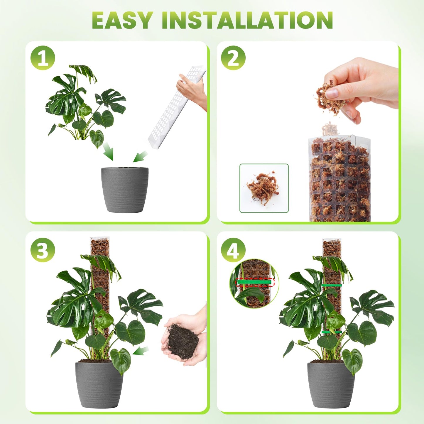 EOX 6 Pack 24" x2 + 36" x2 + 48" x2 Plastic Moss Pole for Monstera, Large D Shaped Poles for Climbing Plants Work with Sphagnum Moss, 210 Inch Total
