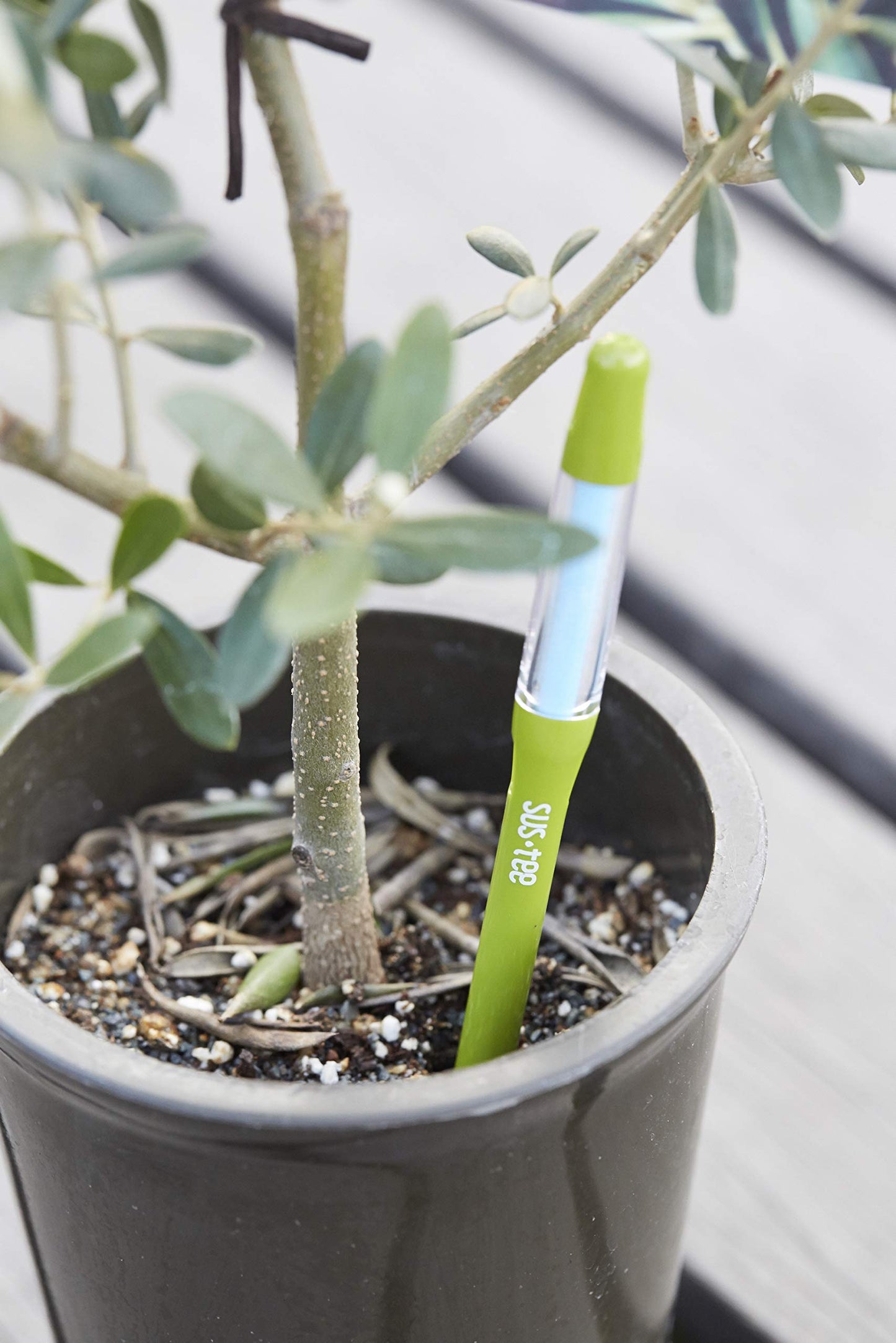 Sustee Aquameter, Set of 5, Plant Soil Moisture Sensor (Green, Medium)