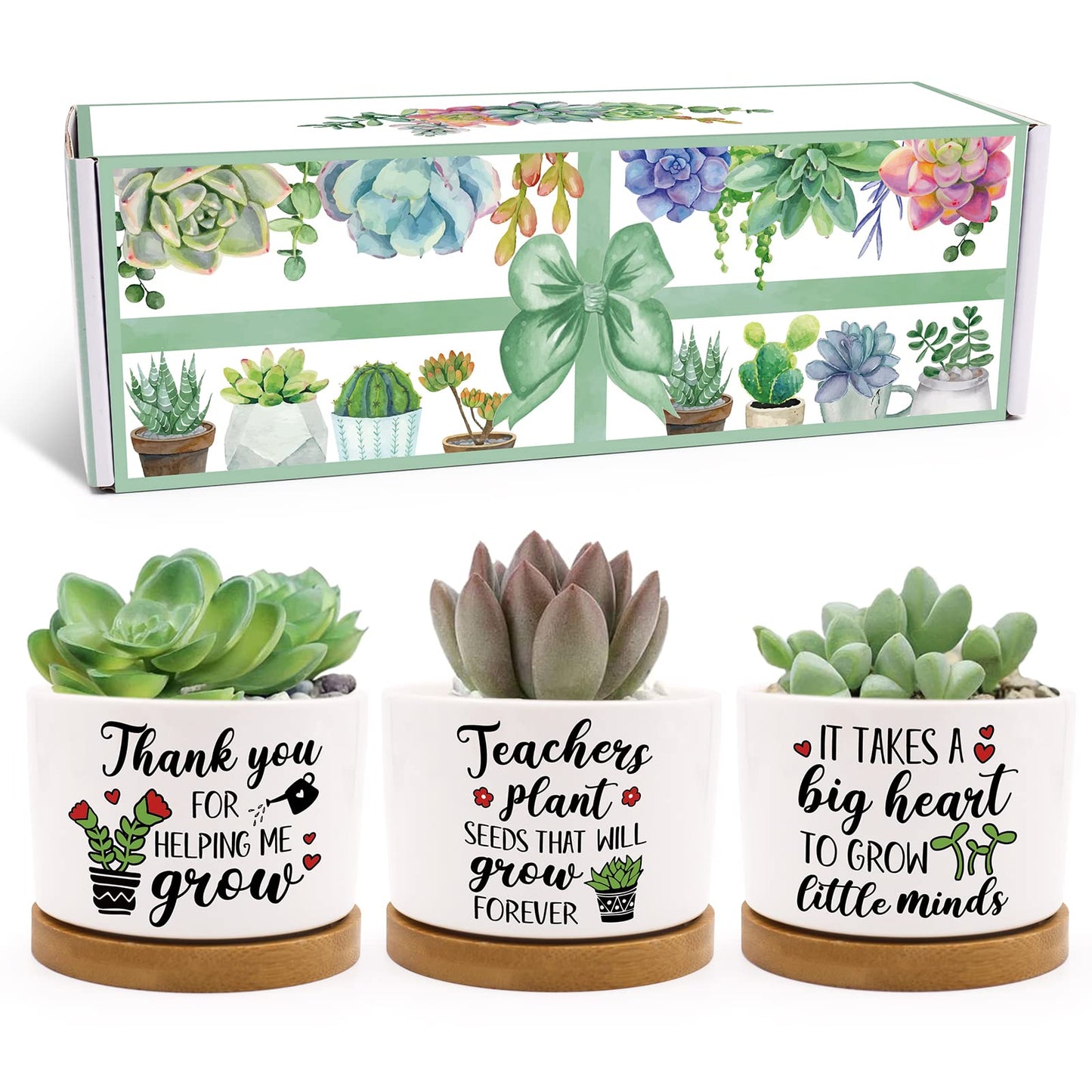Tuitessine Teachers Gift for Women Men Teacher Appreciation Succulent Planters Pots Back to School Best Teacher Birthday Retirement Gifts Mini Ceramic Planter Pot with Gift Box (NO Plants)