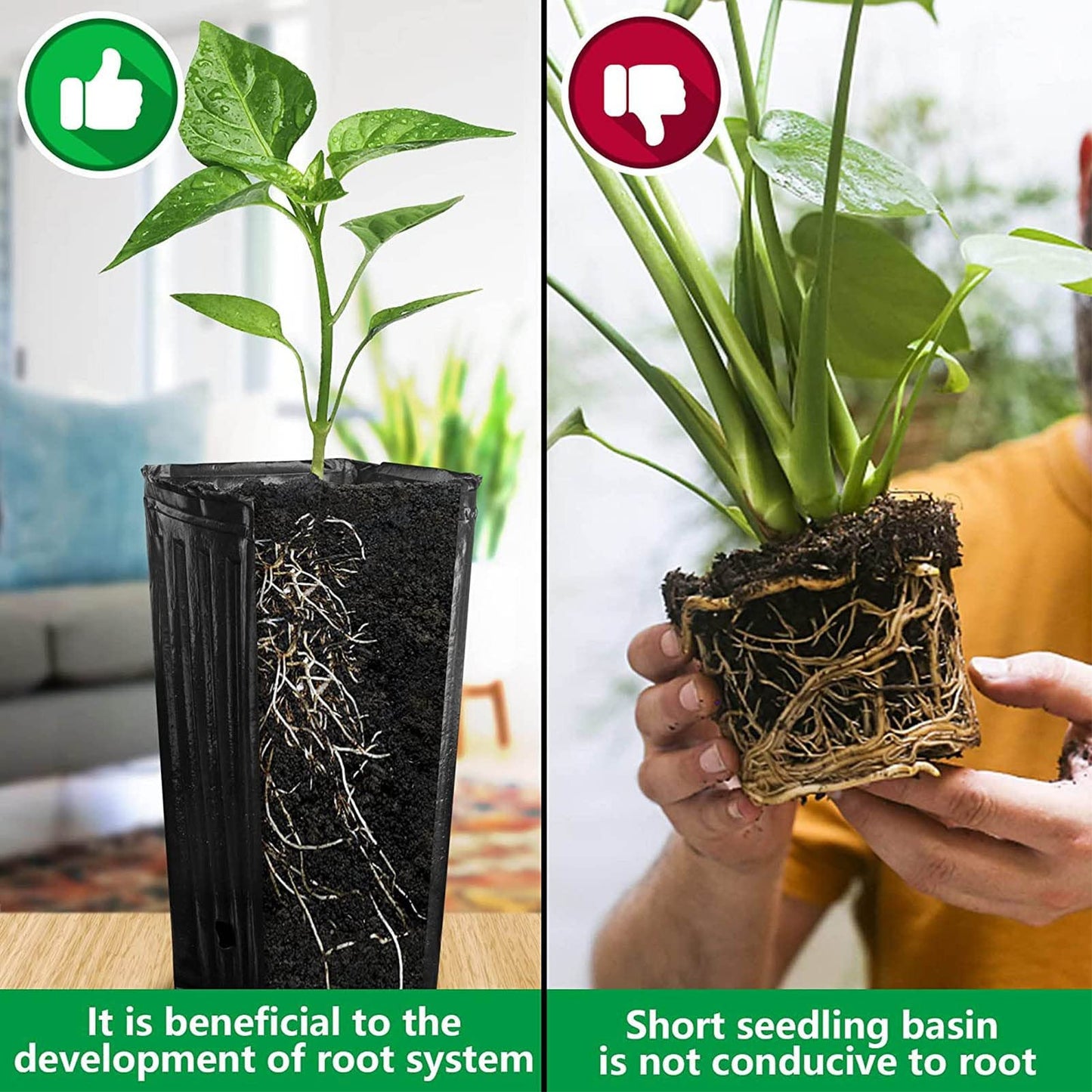 TOPINCN Deep Tree Pot Nursery Pots Outdoor Indoor Garden Seedlings Container Plants Treepots Tree Pots Flowers Plastic Container Pots Tall 20Pcs for Jar Nursery Baby Outside Kid Nursery