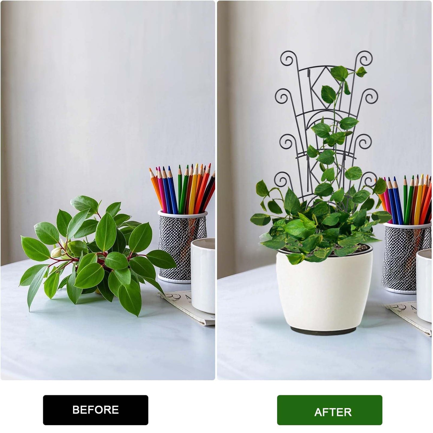 Yhtpouqe Stackable Plant Support Stakes, 2 Pack Metal Twig Plants Trellis for Indoor and Outdoor Use, Garden Accessories for House Potted Flower Monstera Trumpets 15.35 inch