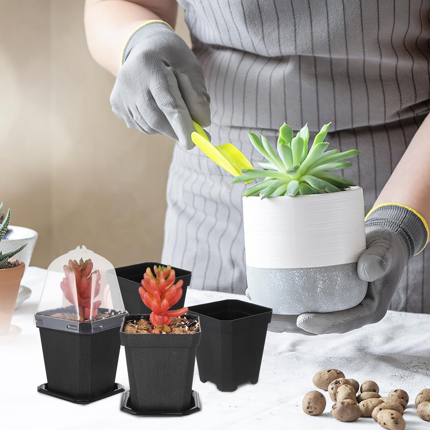 LIOOBO Black Plant Nursery Pots: 5Pcs Seeding Starter Pots, 3 Square Nursery Pot with Humidity Dome, Plastic Plant Container for Garden Vegetable Flower Germination