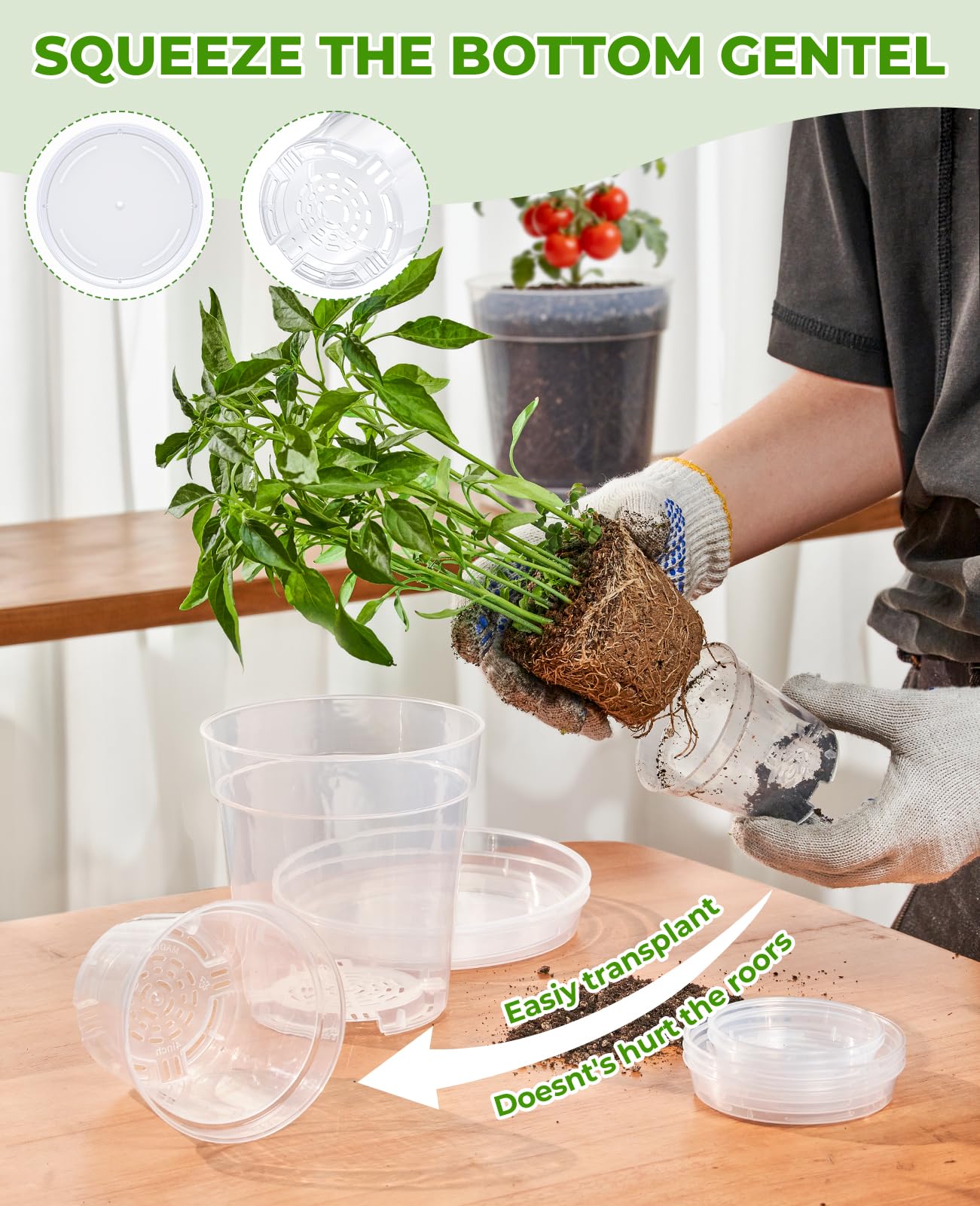 homenote 3/4/5/6 Inch Clear Nursery Pots 20 Pack with Drainage and Plant Saucers, Variety Pack Rigid High-Transparency Plastic Nursery Pots for Plants, Planter Nursery Pots with 10 Labels