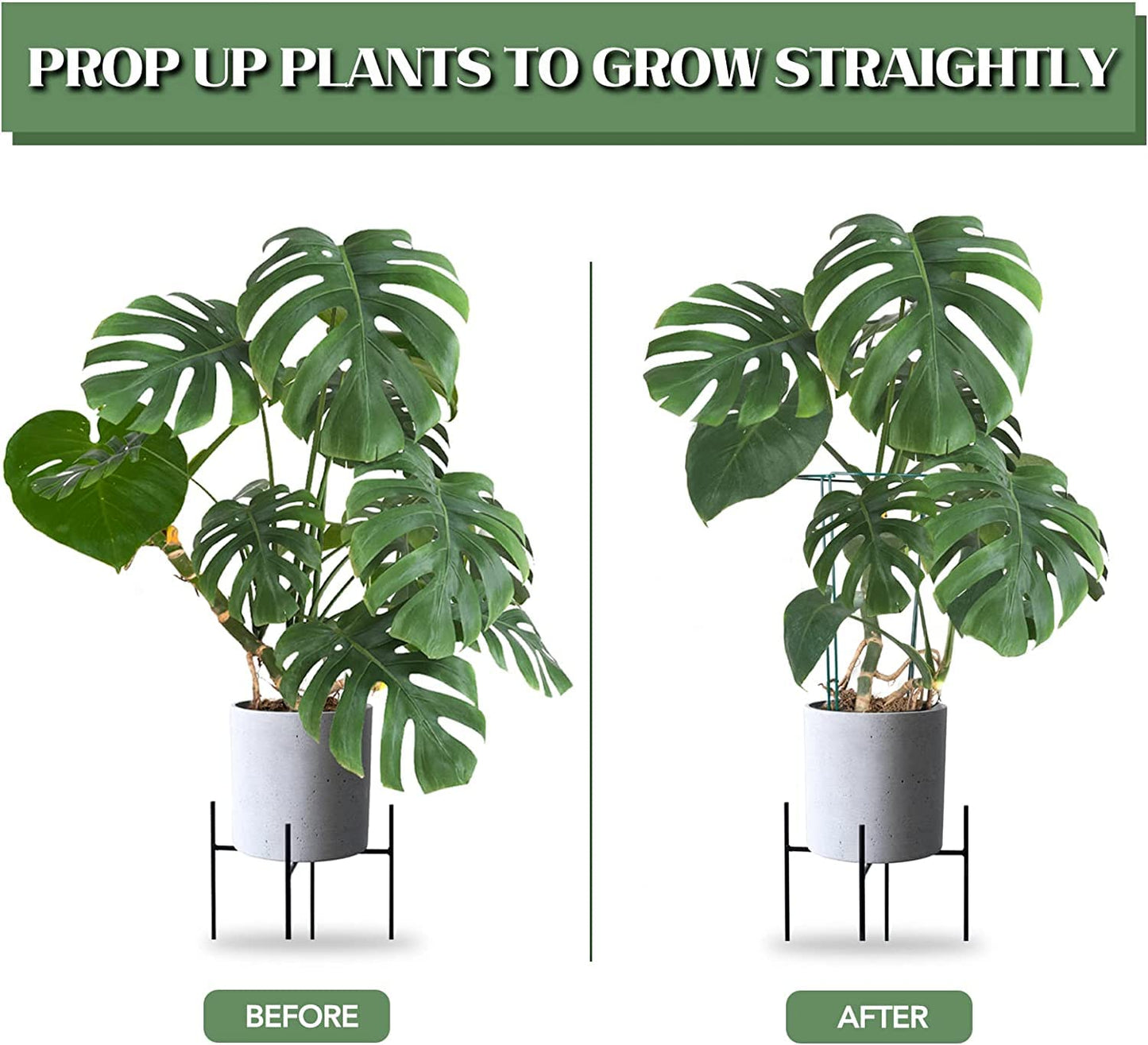 Joyhalo 12 Pack Tall Snake Plant Support Stakes for Indoor Plants 24 Inch, Peony Cages and Supports, Peony Cage with 15 Pcs Twist Ties, Monstera Plant Support for Plants Tomato, Hydrangea, Monstera