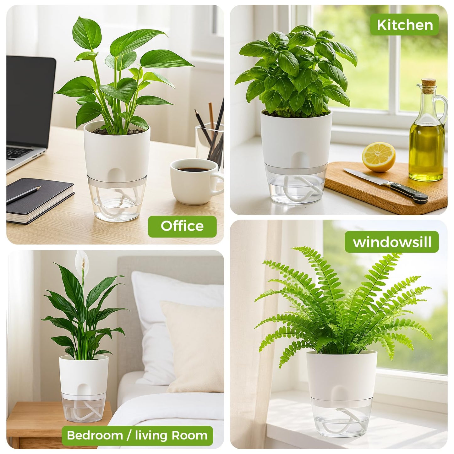 8 Pack Self Watering Pots for Indoor Plants, PlanterHoma 3.2 Inch Plant Pot Plastic Self Watering Planter for Orchid, African Violet, Mini Clear Flower Pots with Drainage Holes and Wicking Rope, White