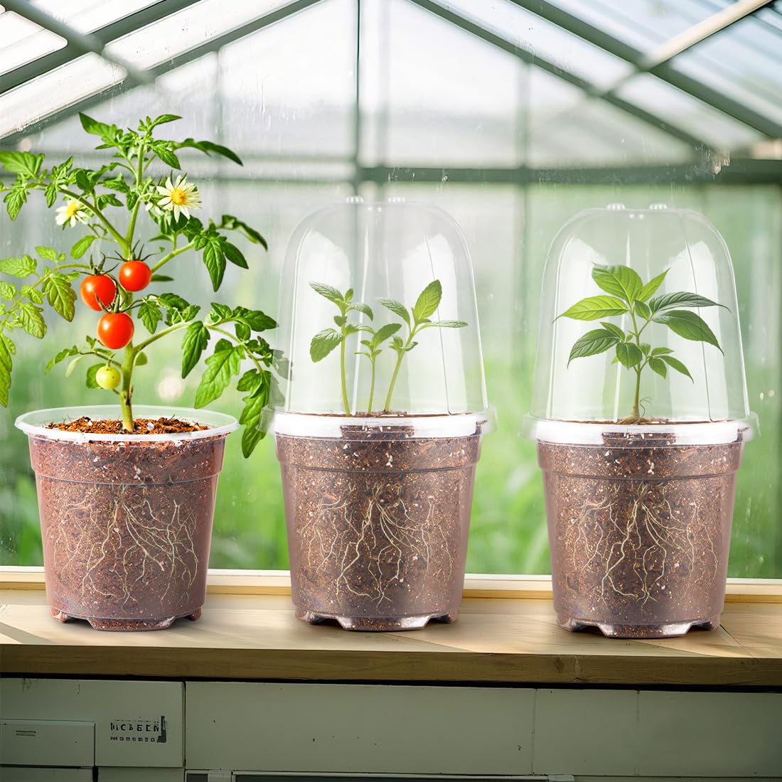 RooTrimmer 6 Inch Clear Nursery Pots with Humidity Dome, 15 Pack Durable Seed Starting Pot with Drainage Holes, Transparent Plastic Plant Seedling Pots for Indoor Gardening Plants
