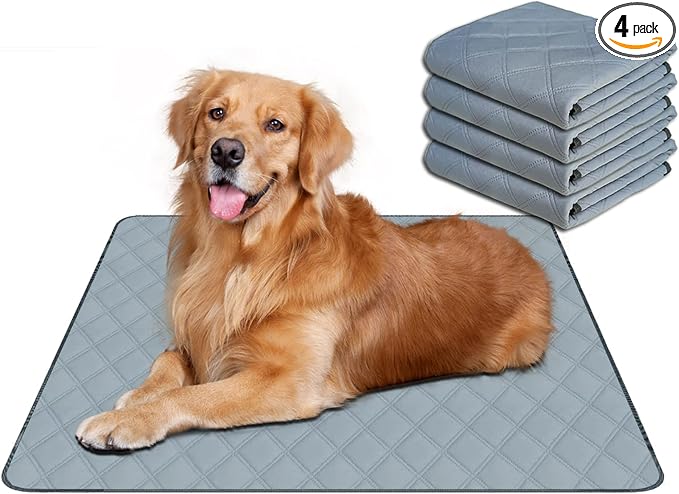 RIOUSSI Washable Pee Pads for Dogs, Reusable, Absorbent, Leakproof, Non Slip Pet Puppy Pads for Potty Training. Light Gray, 20x28 Inch(4pack)