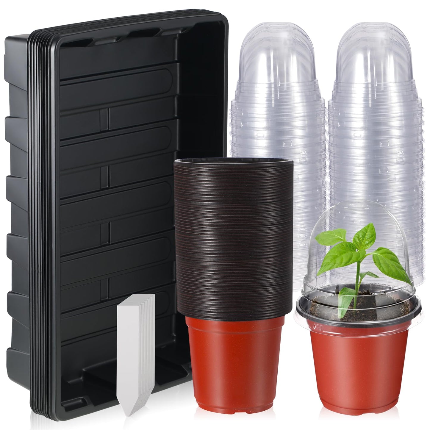 Hushee 70 Pcs Plant Trays Pot Set 10 No Holes Seedling Tray 14.5 x 9 x 2.3 Inch with 60 4 Inch Plastic Clear Plant Nursery Pots Gardening Pot Planting Containers 60 Plant Humidity Dome 60 Plant Labels