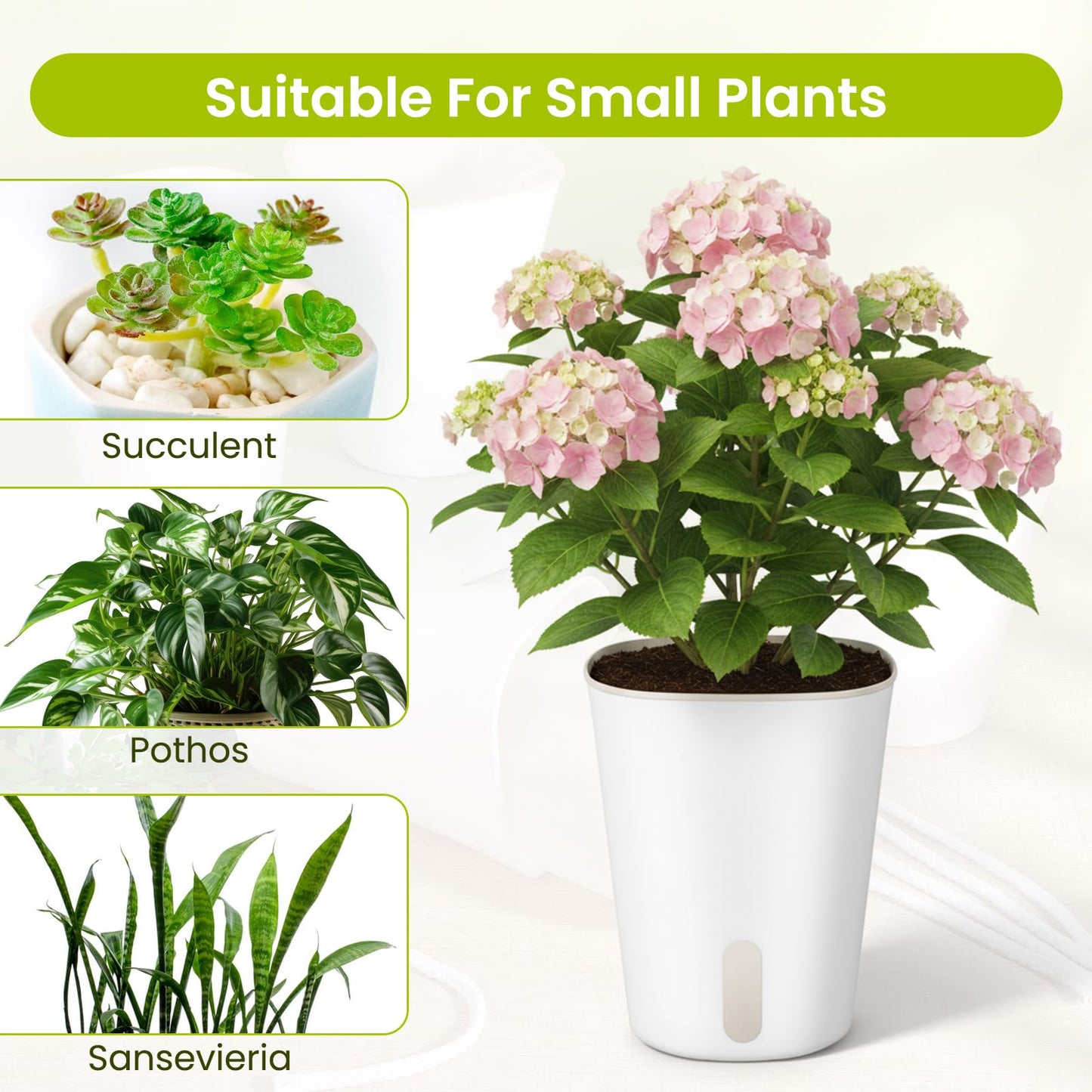 Xaajooio 20 Pcs 3 Inch Self Watering Planters with Water Level Indicator and Vent Holes, Indoor Garden Pots for Succulents African Violets