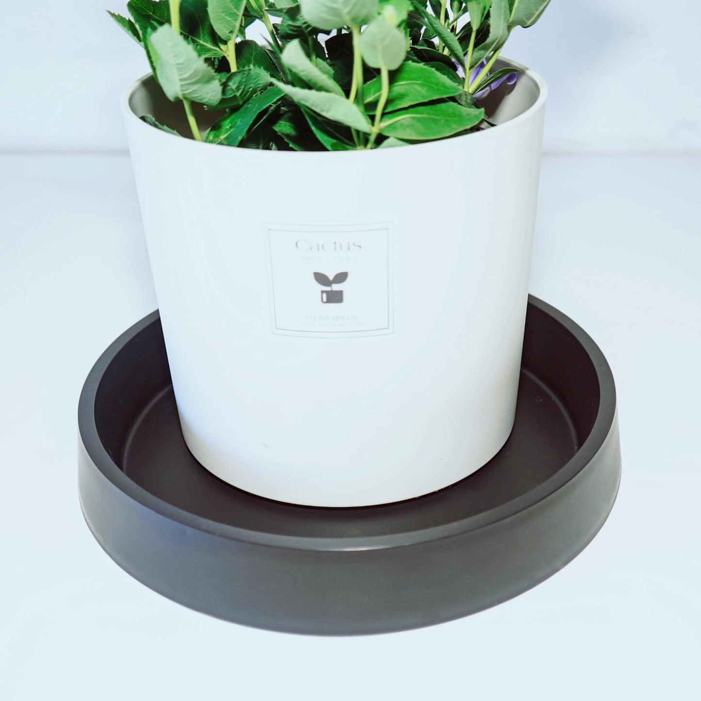 Bleuhome Plant Saucer Tray for Ceramic Plastic Pots, 14 inch Plant Saucers for Indoors, Pot Saucers Trays, Bird Bath Bowls, Flower Planter Water Drip Trays for Pots Base (14", Black)
