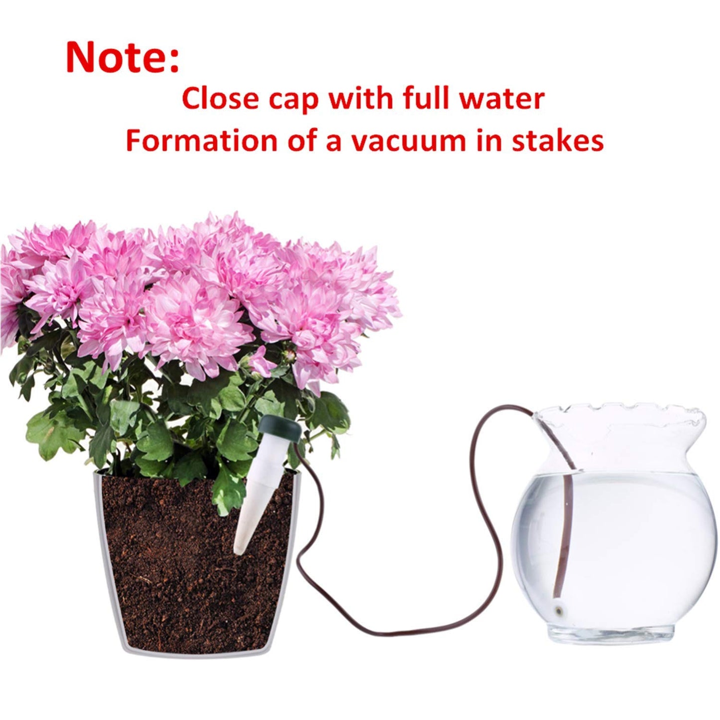 HESTYA 8 Pack Plant Self Watering Stakes Insert Automatic Watering Devices Self Watering Spikes Indoor Outdoor Plant Watering for Vacation