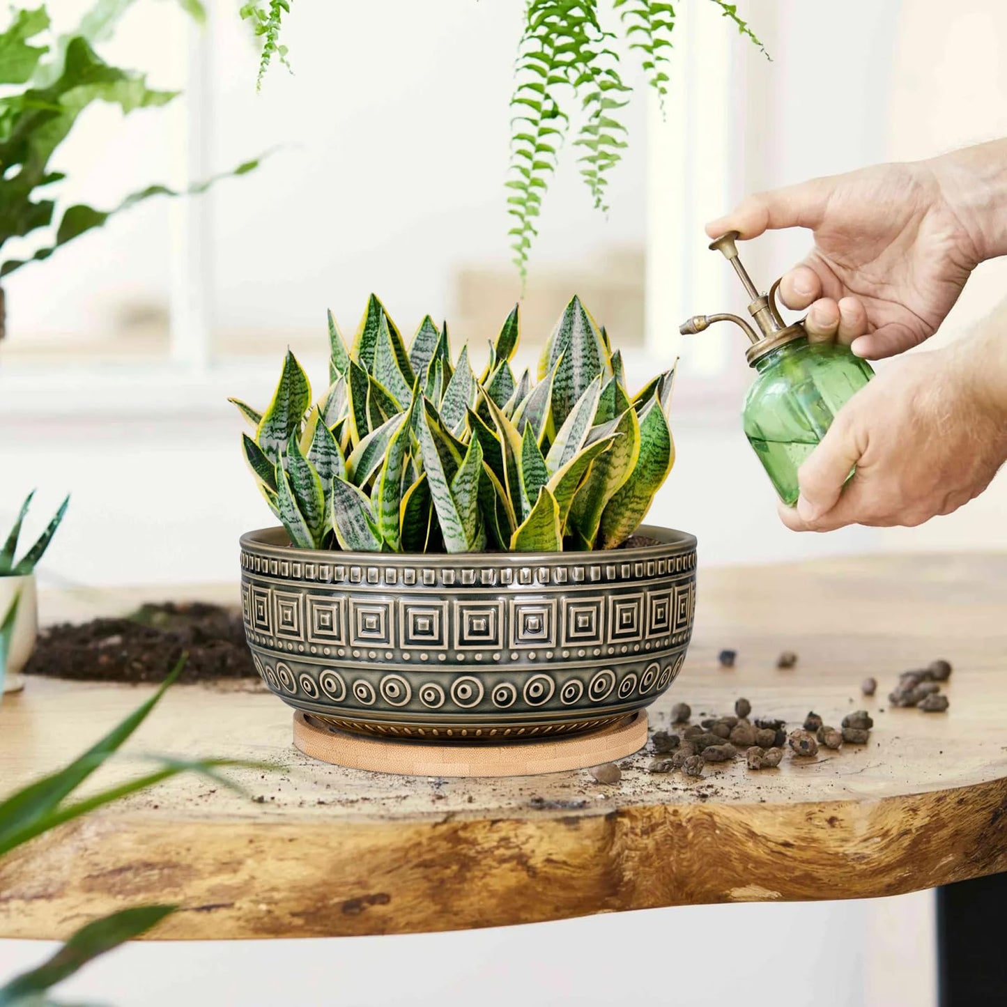G EPGardening 8 Inch Ceramic Succulent Planter Pots Round Shallow Bonsai Planter Pot for Indoor Plants with Drainage and Bamboo Saucer Gray