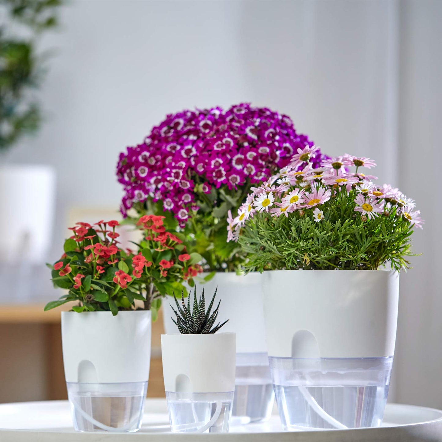 ETGLCOZY Self Watering Pots for Indoor Plants, 5 Pack 6/4.1/3.2 Inch Flower Pot Modern Decorative Plastic Planter with Extra Large Water Storage for All House Plants, Flowers, Herbs(White)