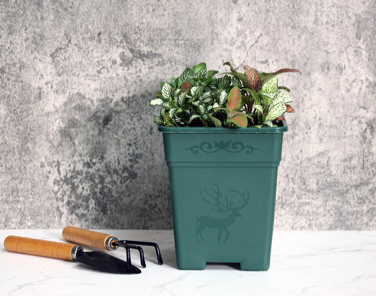Cotta Planters Square Nursery Pot 0.5 Gallon 5 Inch Plastic Planters for Outdoor Indoor Plants 10-Pack with Drainage Holes Green