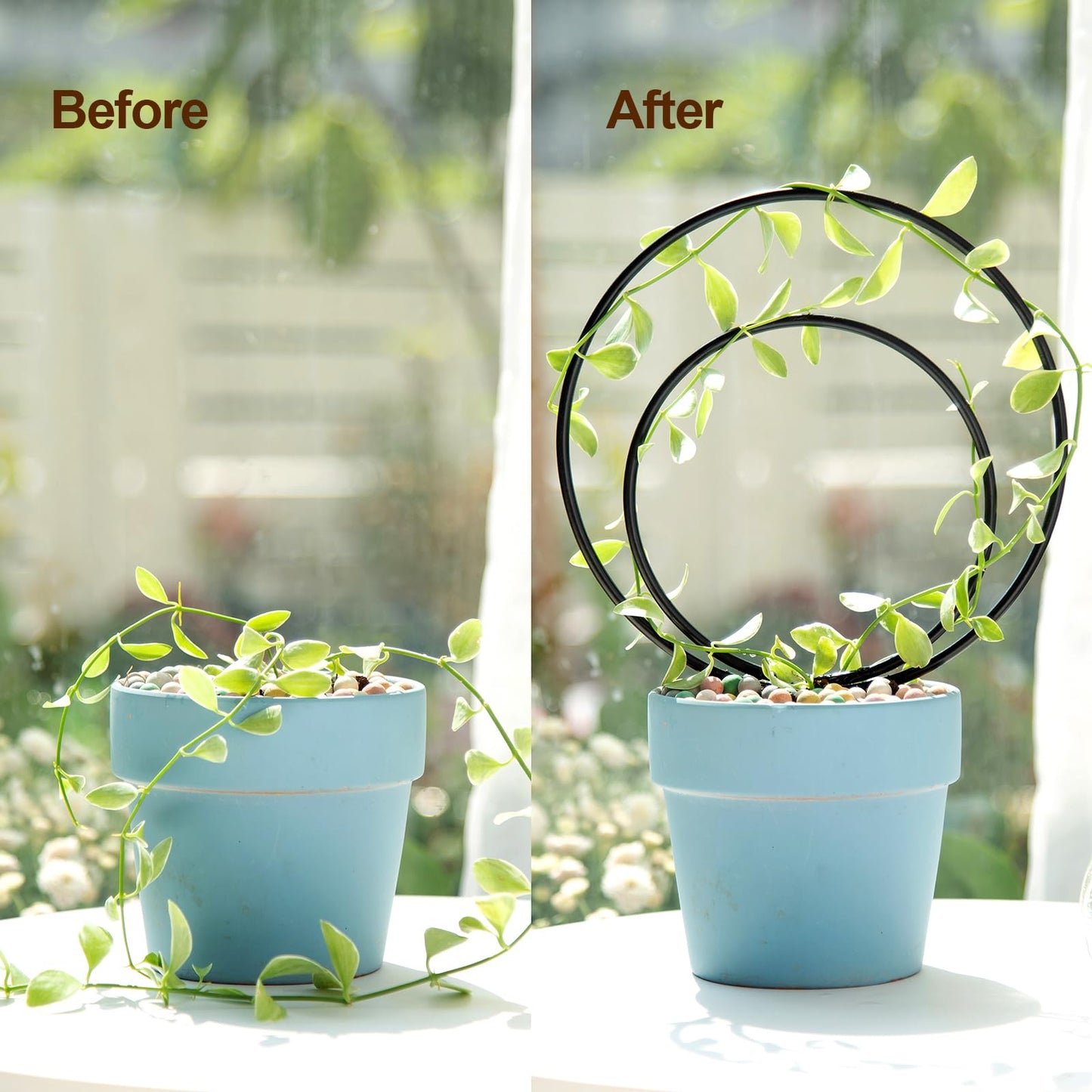 Mirthdino Premium Hoya Trellis - Unique Metal Plant Support for Climbing Plants - Set of 3 Different Sizes - Ideal for Indoor and Potted Plants
