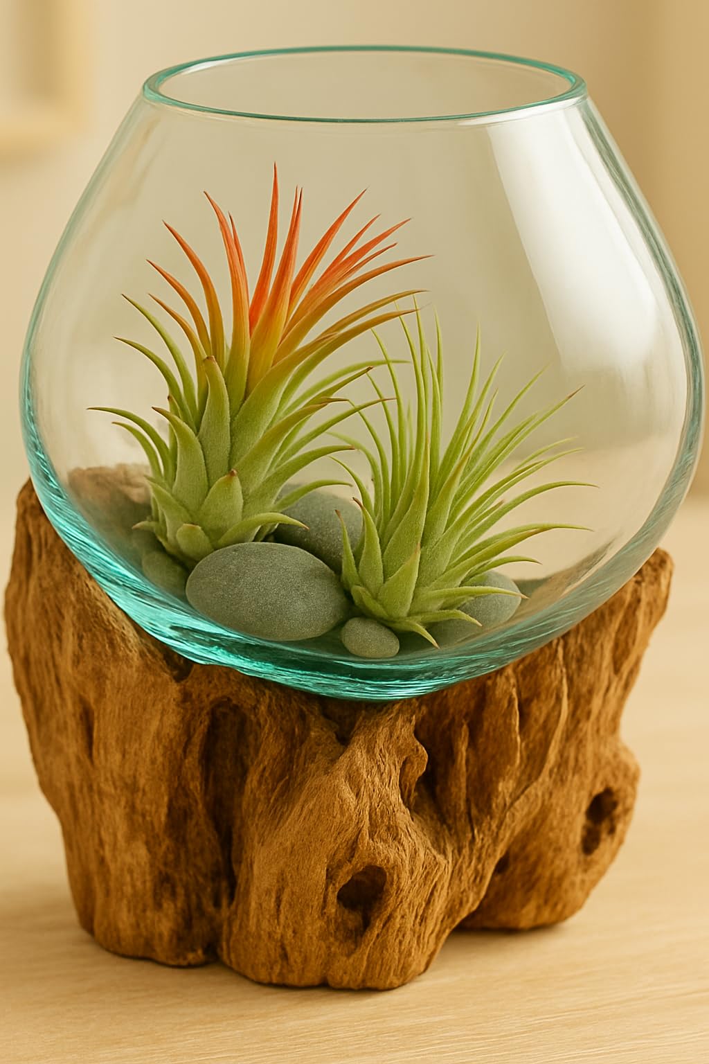 OMA Molten Glass on Driftwood – Hand-Blown Melted Glass Vase, Terrarium, or Planter for Coastal & Boho Home Décor (6"–7" High)