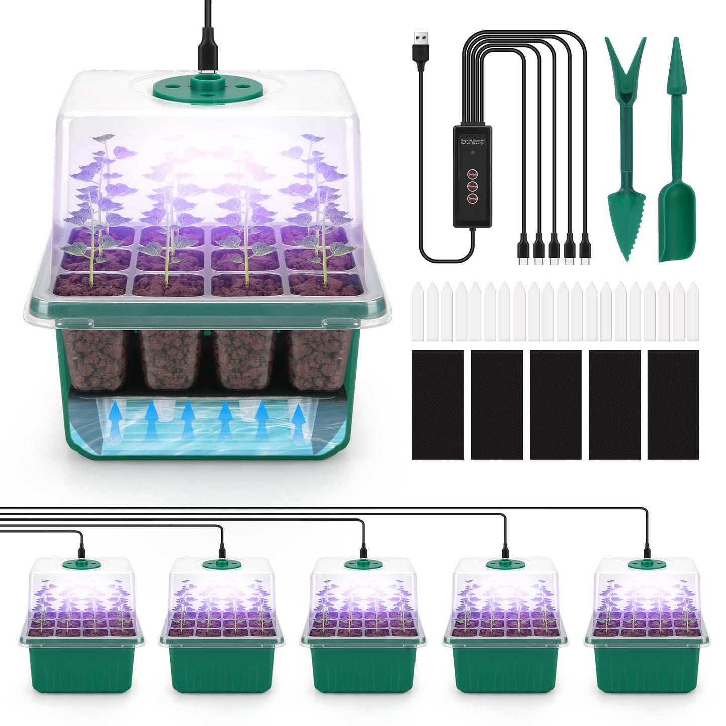 BlumWay Self-Watering Seed Starter Tray Kit with Grow Light and Humidity Dome,3 Color Growing Light,5-Pack 60-Cell Plant Seedling Tray,Reusable Plastic Germination Trays,Timed Light Plant Starter Set