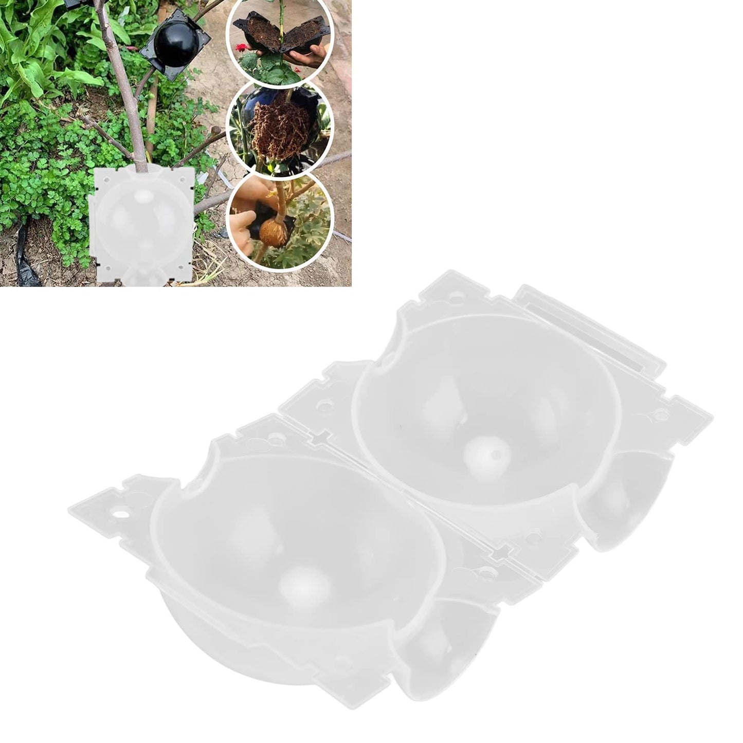 Gazaar 10Pcs Plant Root Growing Box,Plant Rooting Grow Propagation Ball,High Pressure Propagation Ball,Grafting Rooting Ball for Plants