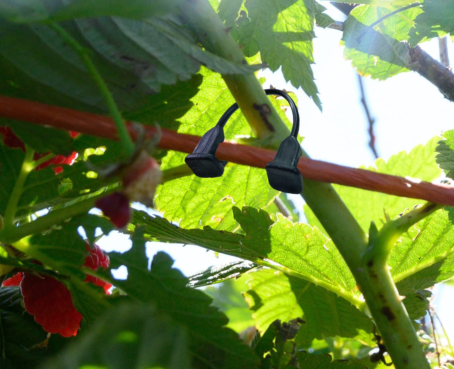 Plastic Vines ClipTomato, Grape, Raspberry, Kiwi Vine Clip Garden Plant Support Clip Vegetable Fixed Hook Plant Lock Tomato, Grape, Raspberry, Kiwi Vine Buckle Suitable for 9#-12# Thread(200 PCS)