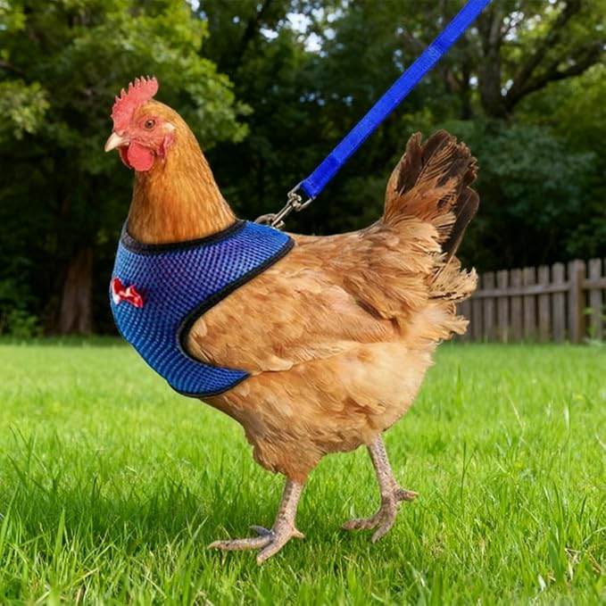 Chicken Harness and Leash Set Adjustable Mesh Breathable Duck Training Harness Pets Leashs for Goose Hen Rooster Parrots Dog Kitten, Purple S