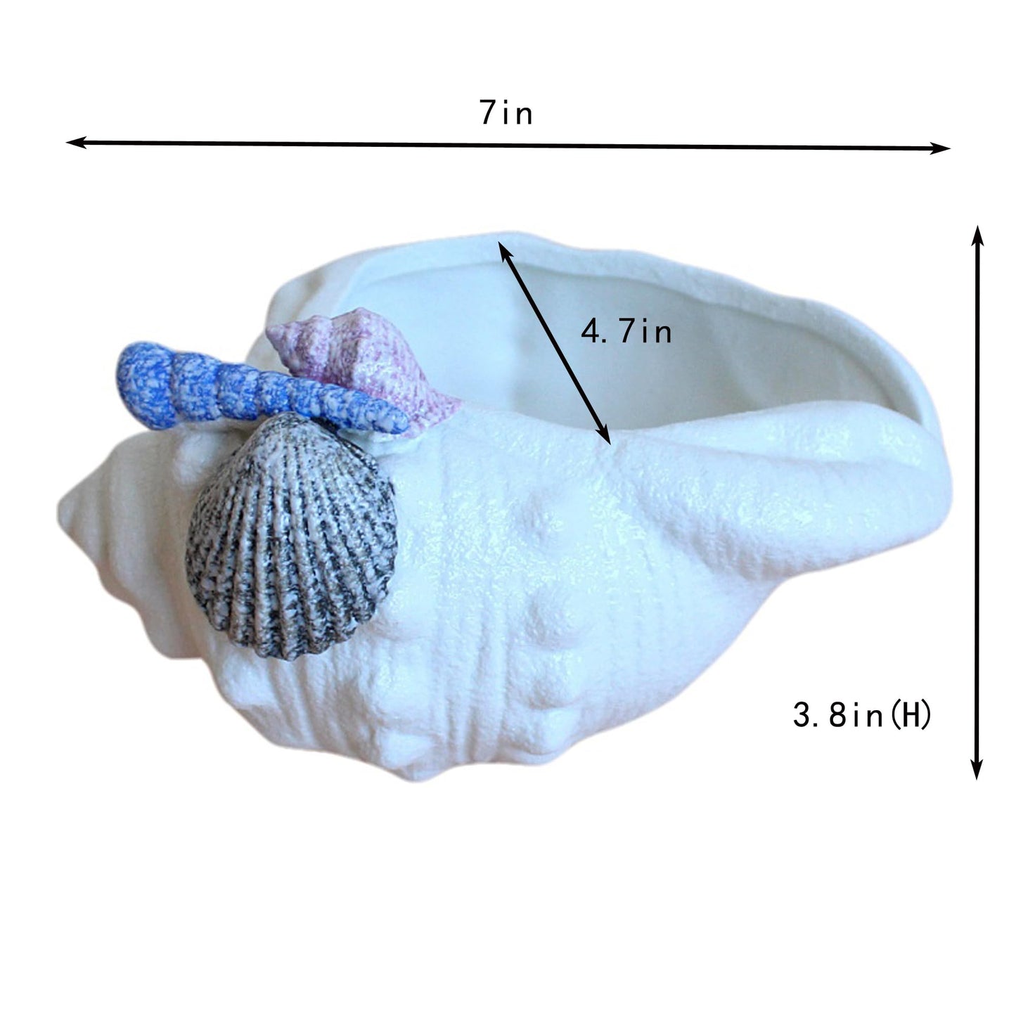 FMTITF Ceramic Seashell Planter with Drainage Hole, Succulent & Herb Pot for Indoor/Outdoor Plants, Hand-Painted Ocean Décor for Home, Office, or Garden (Blue/Lavender/Gray Shell Accents)