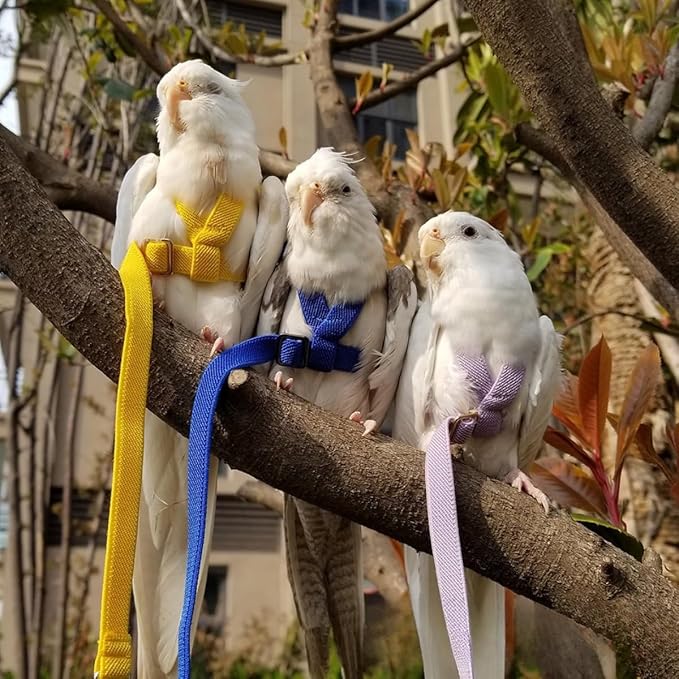 Adjustable Bird Harness with Elastic Leash, Pet Parrot Harness and Leash, Adjustable Training Design Anti-Bite, Bird Nylon Rope with Cute Wing for Conure (Lake Blue,S)