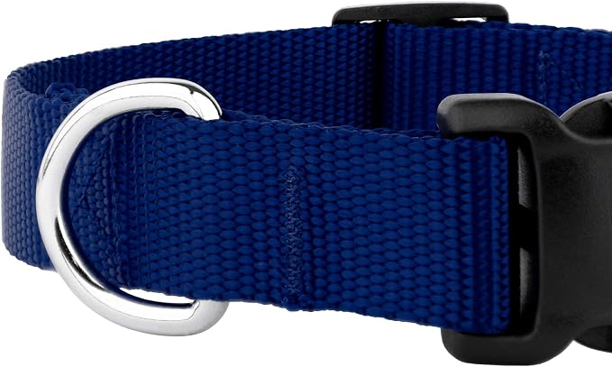 Country Brook Petz - Everyday Nylon Dog Collar and Leash - 10+ Cool Colors (3/8 Inch, Extra Small, Royal Blue)